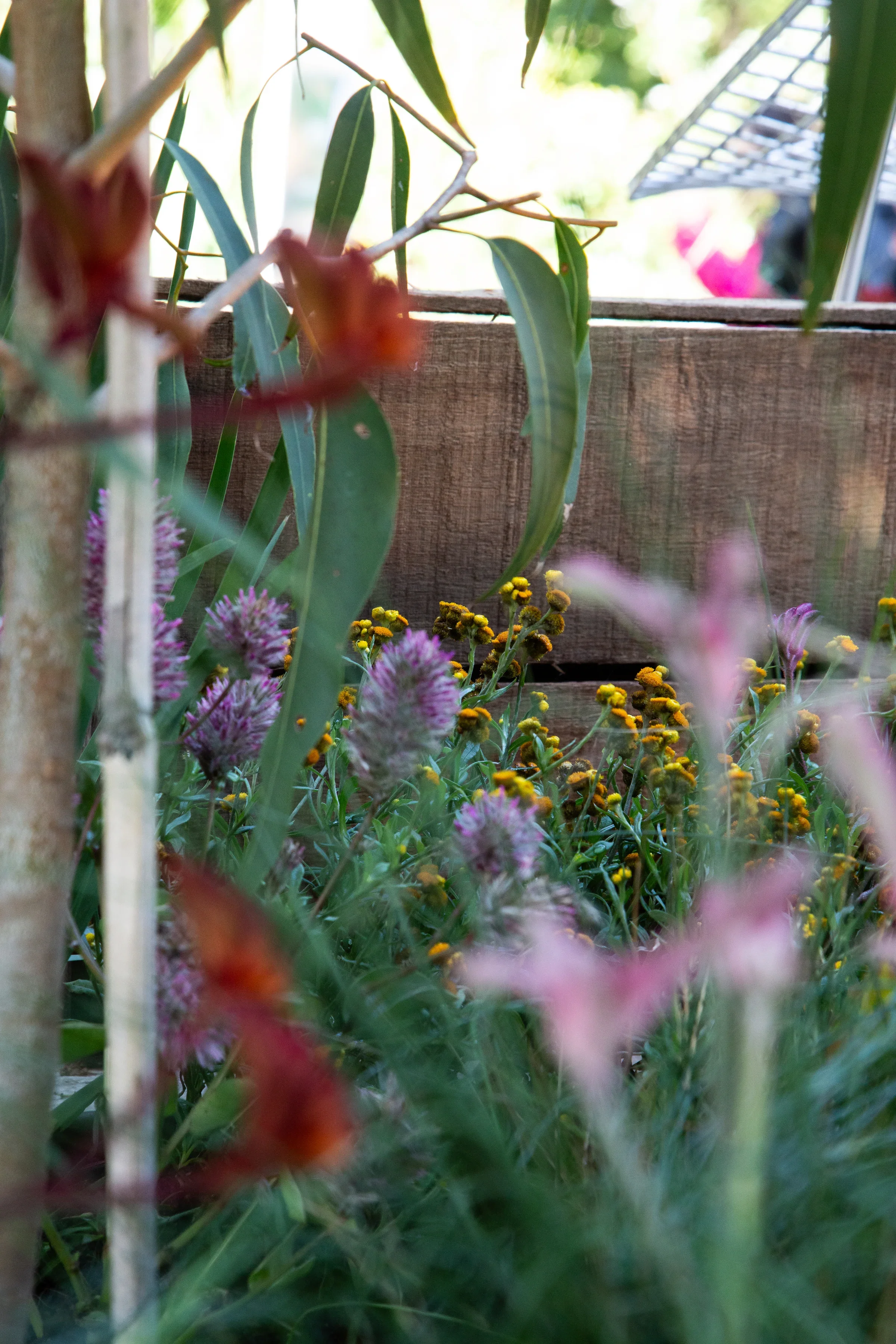 MIFGS_2026_Boutique Garden-55.webp