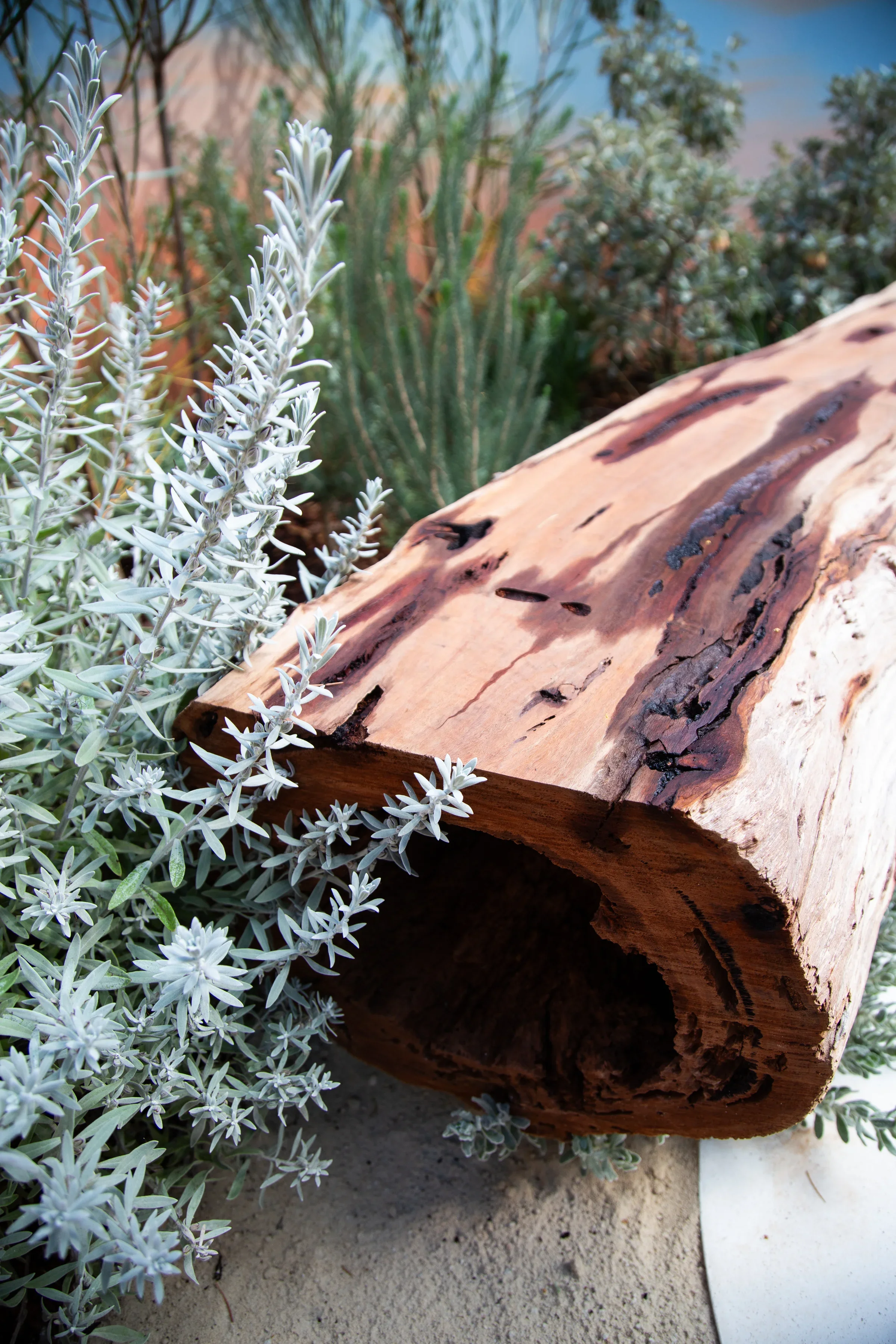 MIFGS_2026_Sunset Over Salt Lake-62.webp