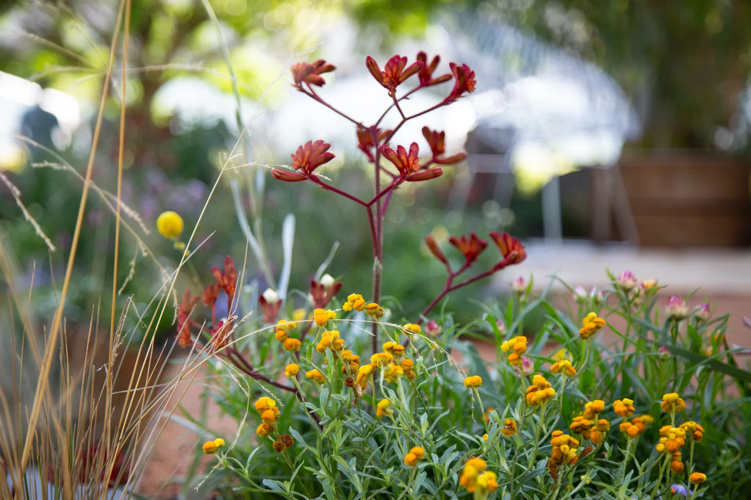 MIFGS_2026_Boutique Garden-36.webp