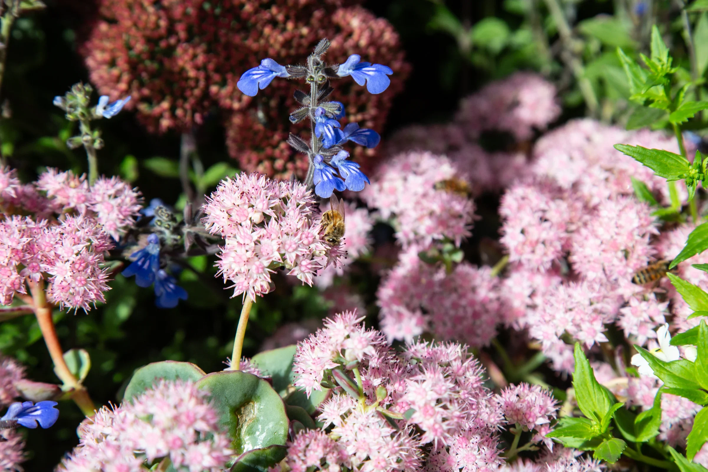 2nd Place — Look Within by Amy Fisher