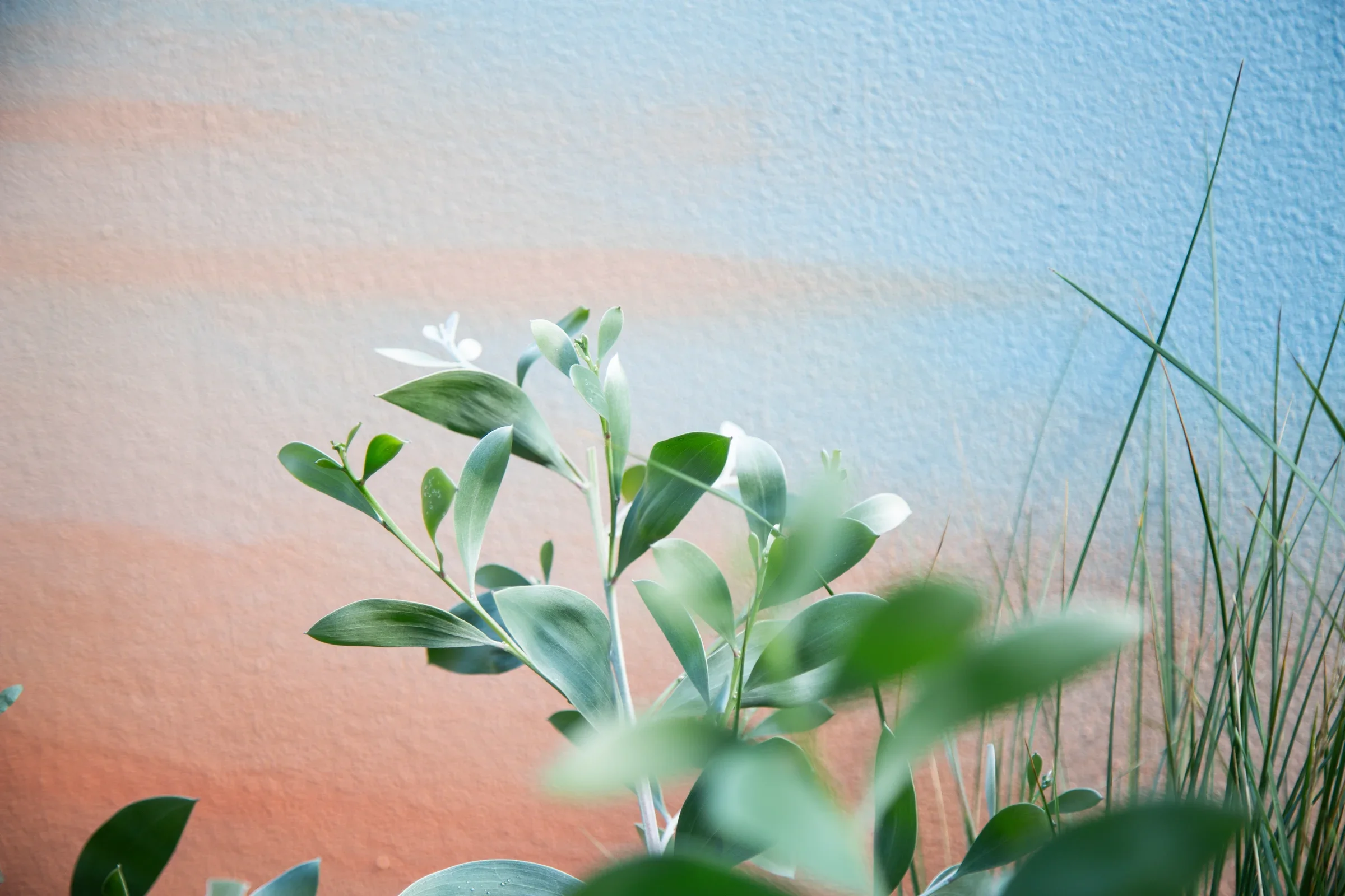 MIFGS_2026_Sunset Over Salt Lake-50.webp