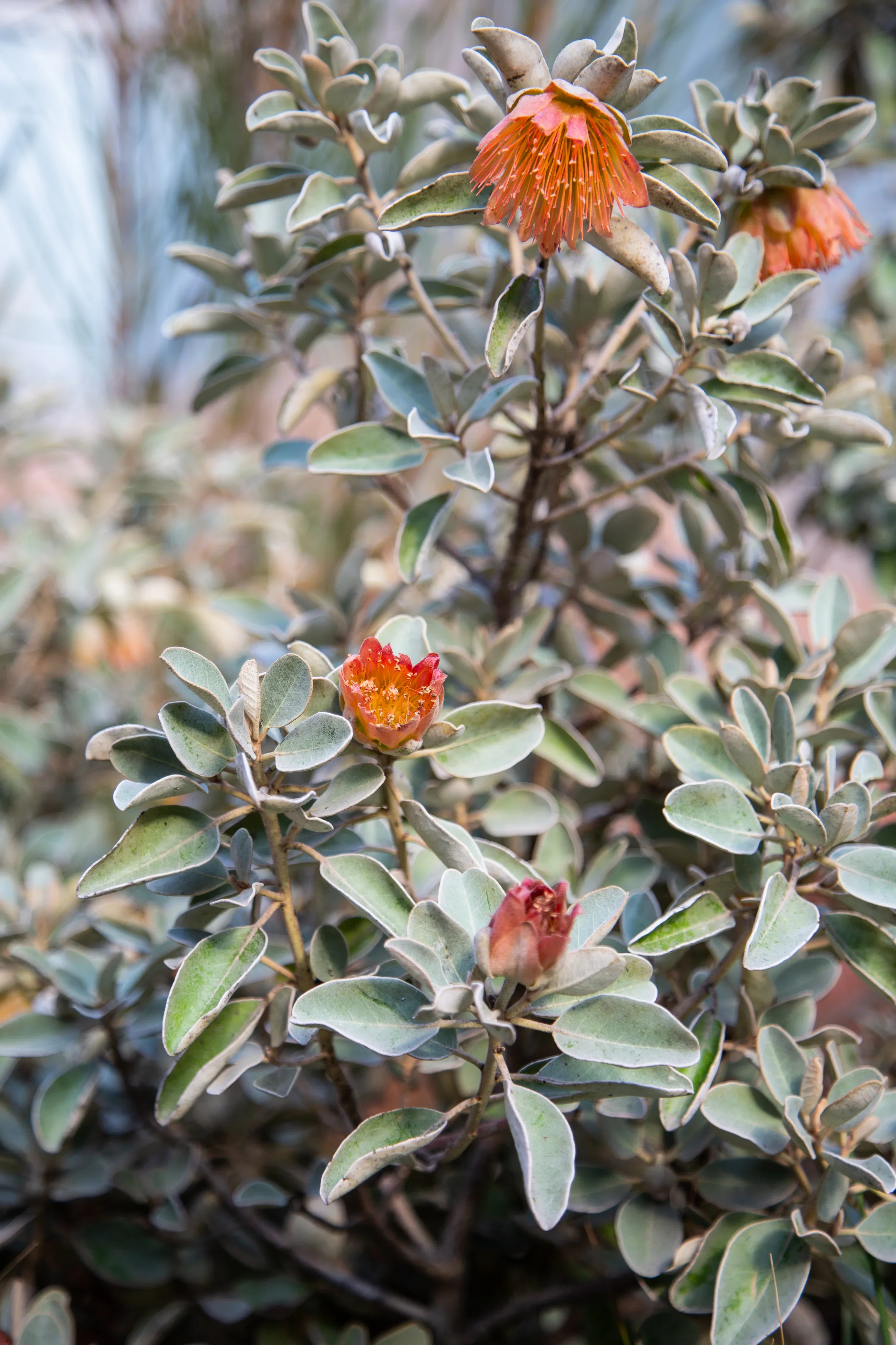 MIFGS_2026_Sunset Over Salt Lake-44.webp