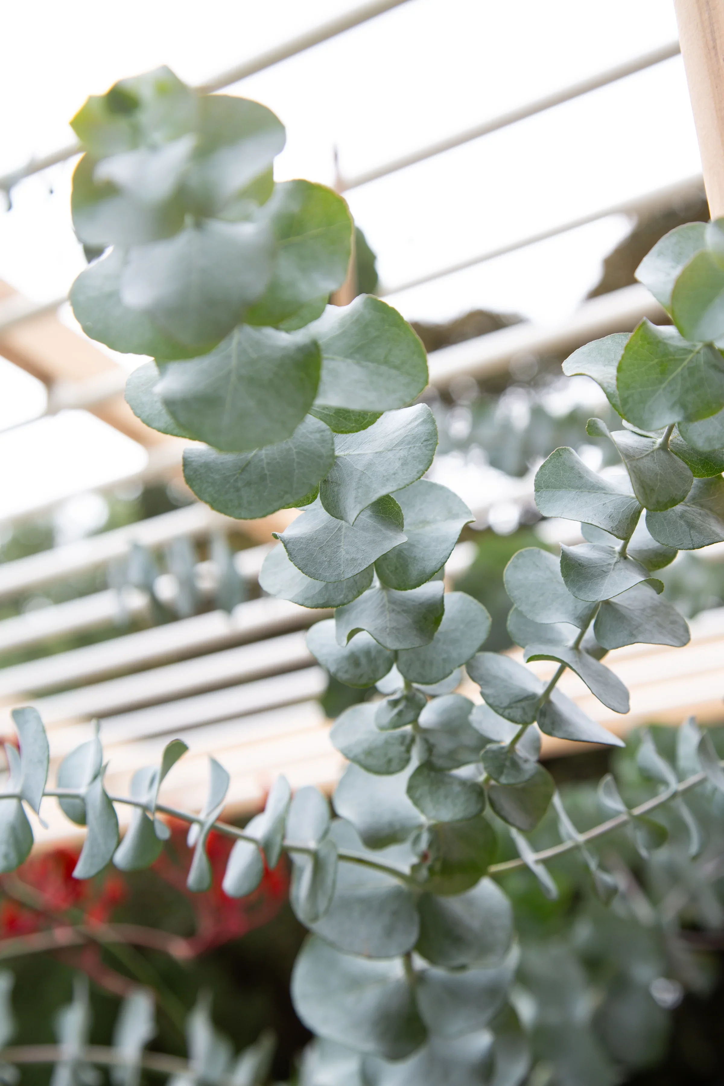 MIFGS_2026_Oasis in the Sky-55.webp