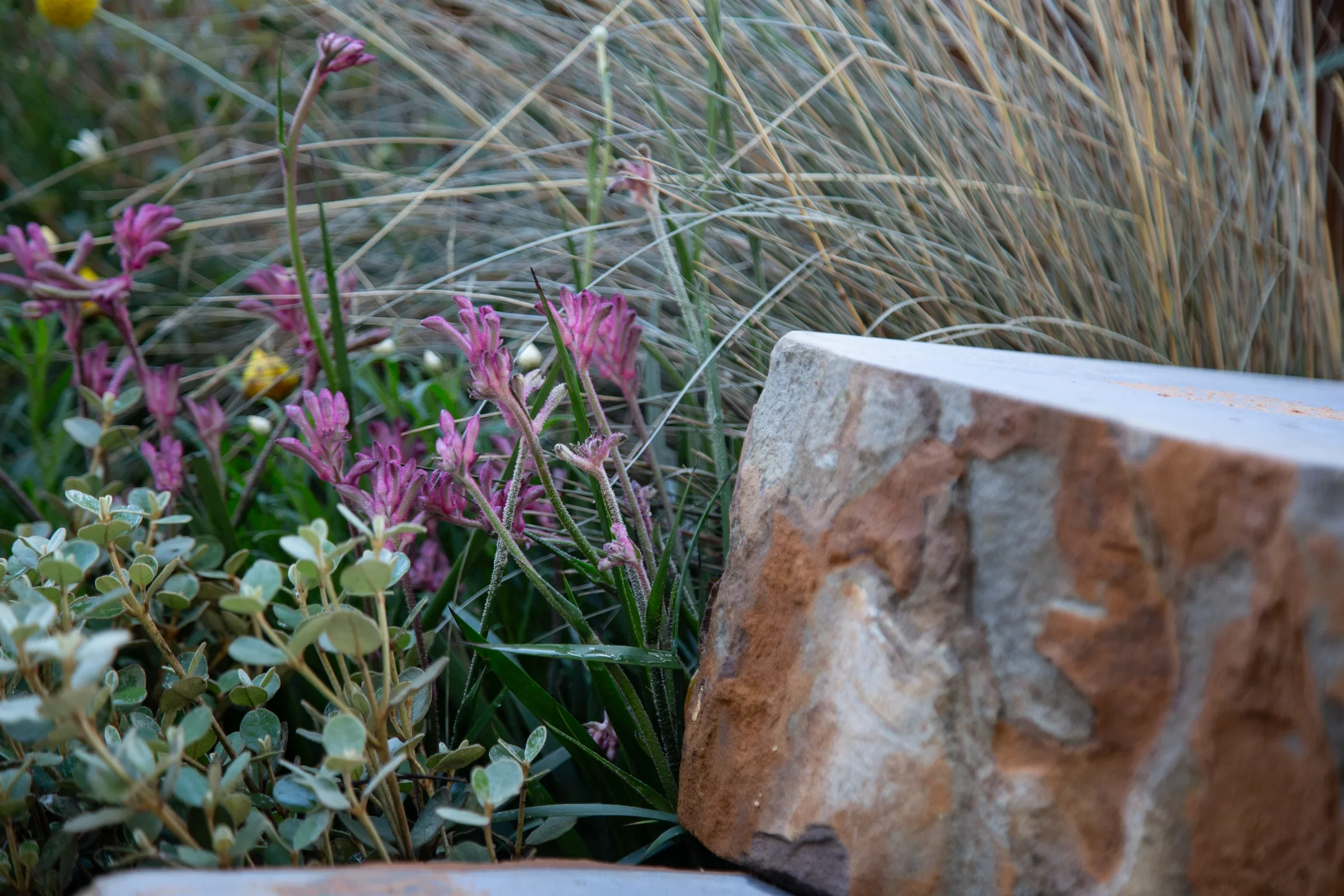 MIFGS_2026_Boutique Garden-30.webp