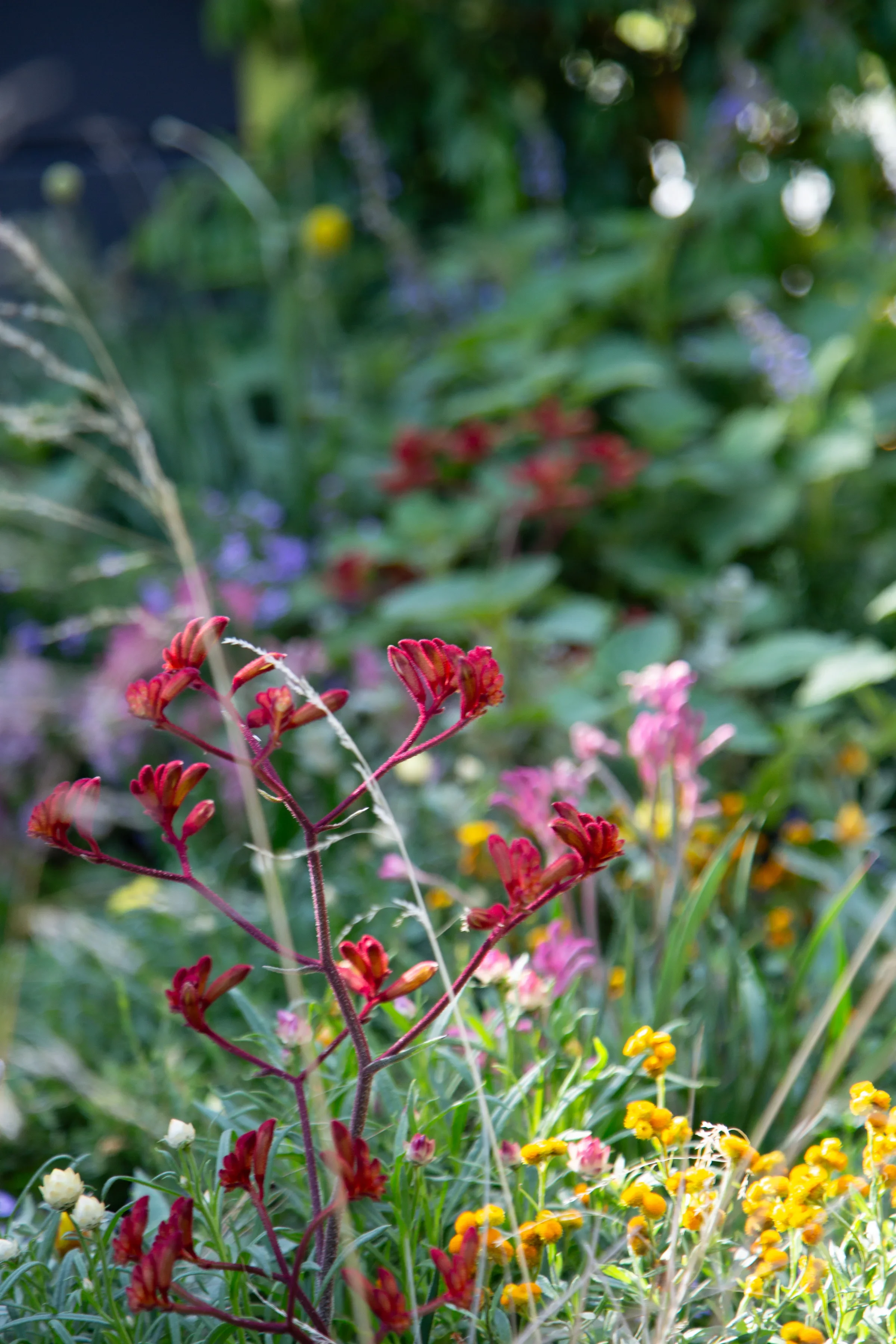 MIFGS_2026_Boutique Garden-90.webp