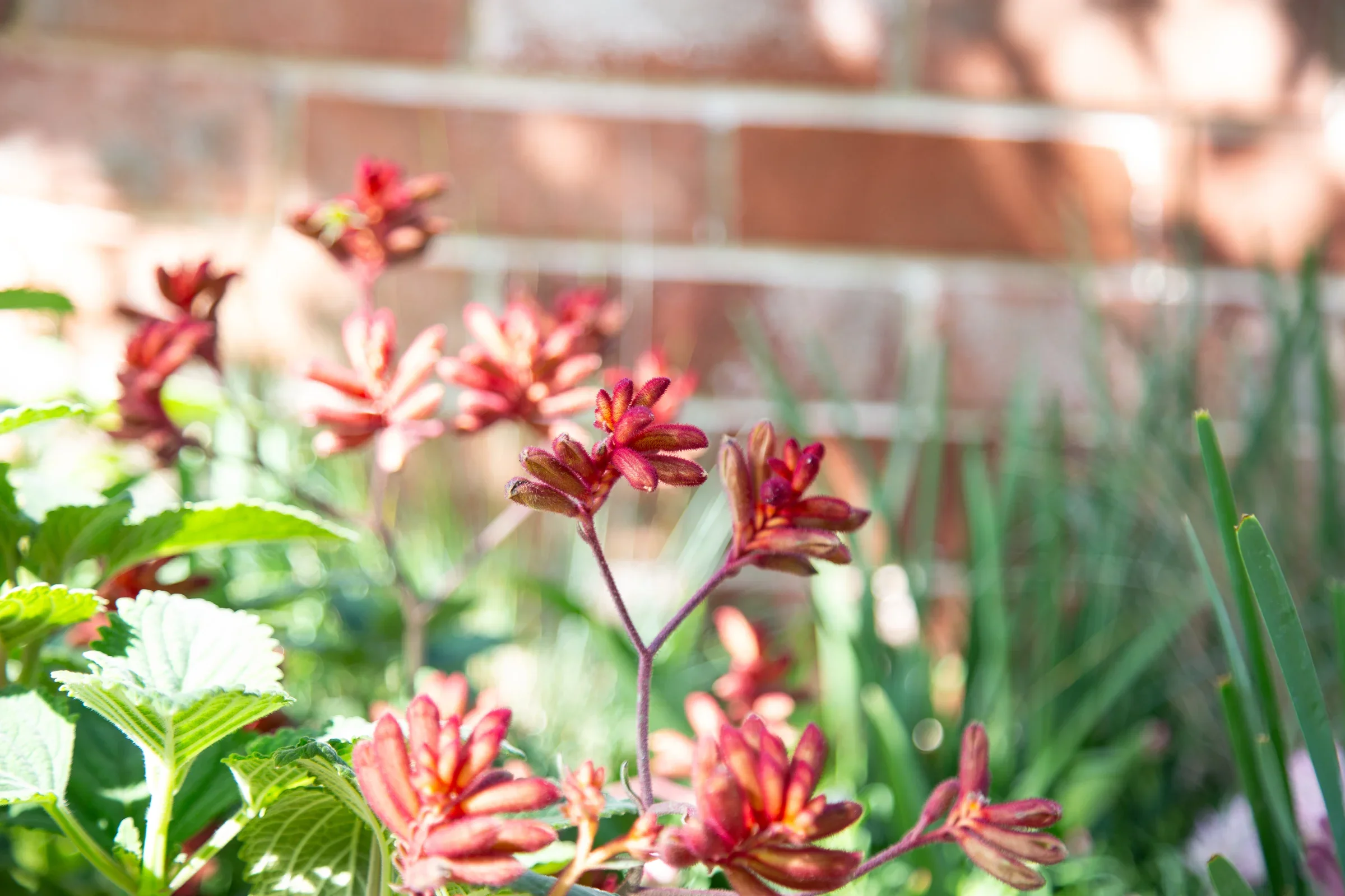 MIFGS_2026_Boutique Garden-12.webp