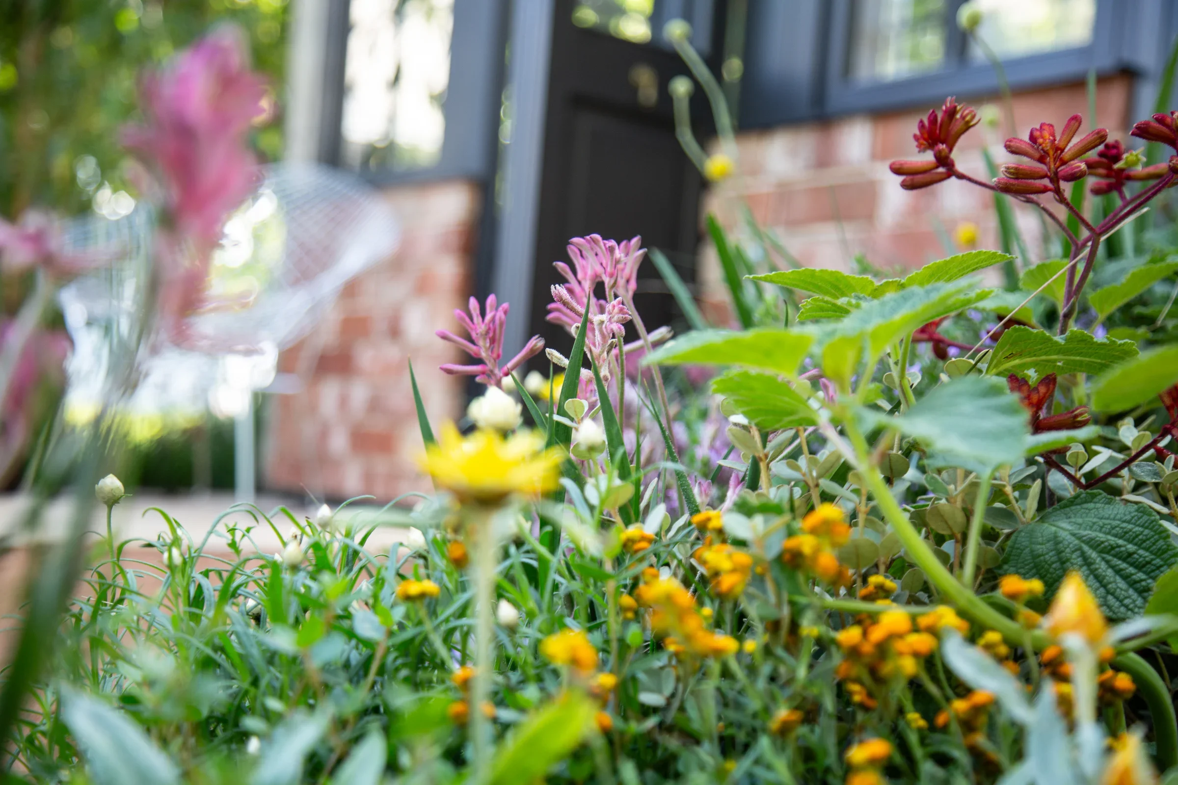 MIFGS_2026_Boutique Garden-49.webp