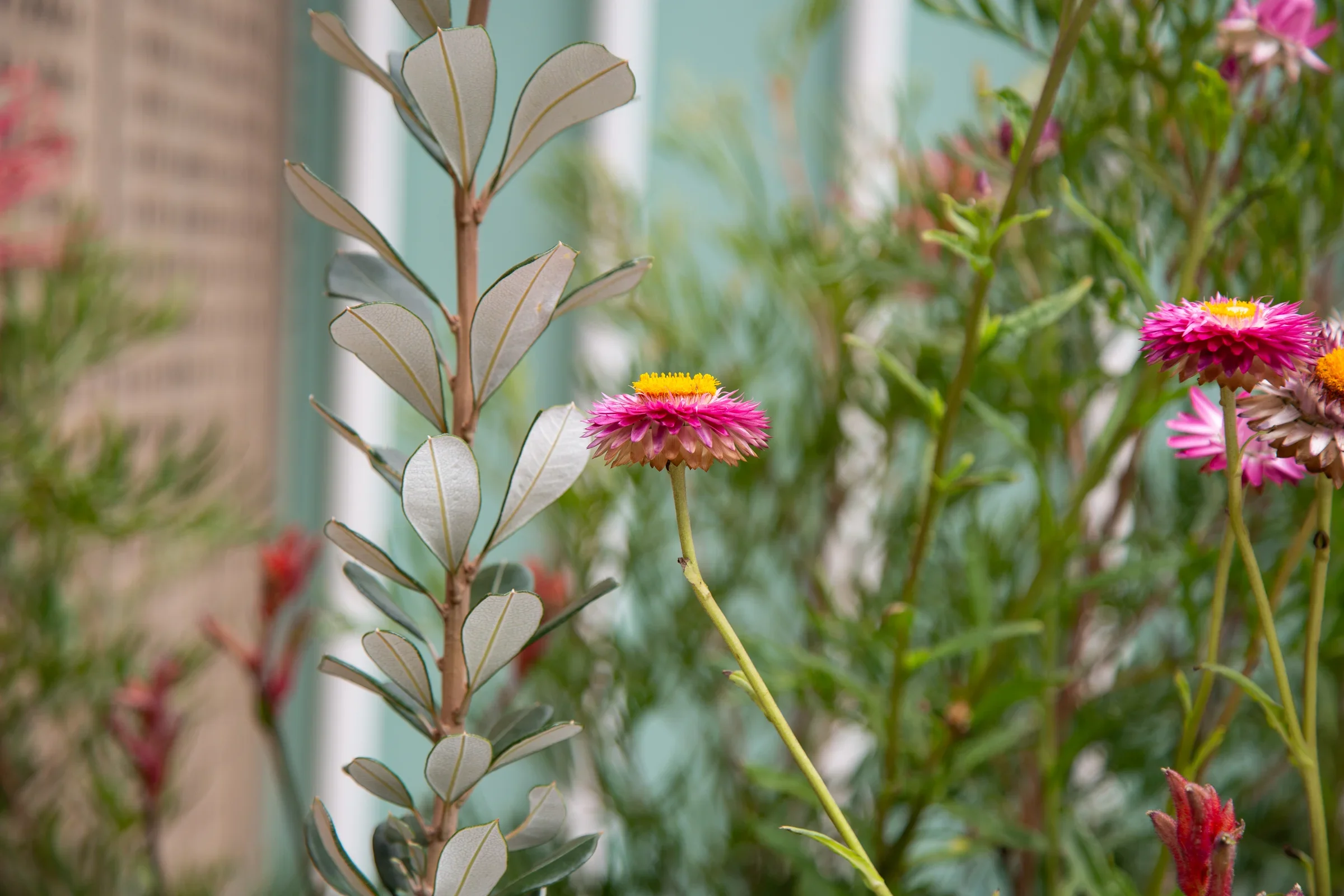 MIFGS_2026_Oasis in the Sky-19.webp