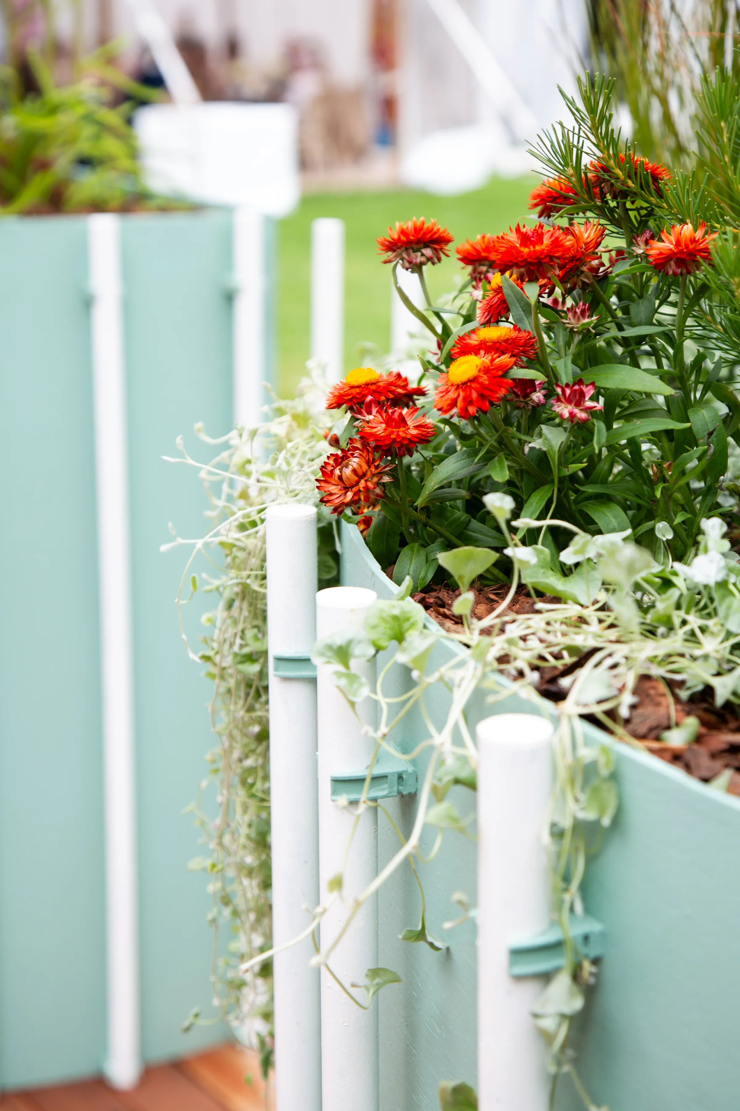 MIFGS_2026_Oasis in the Sky-40.webp