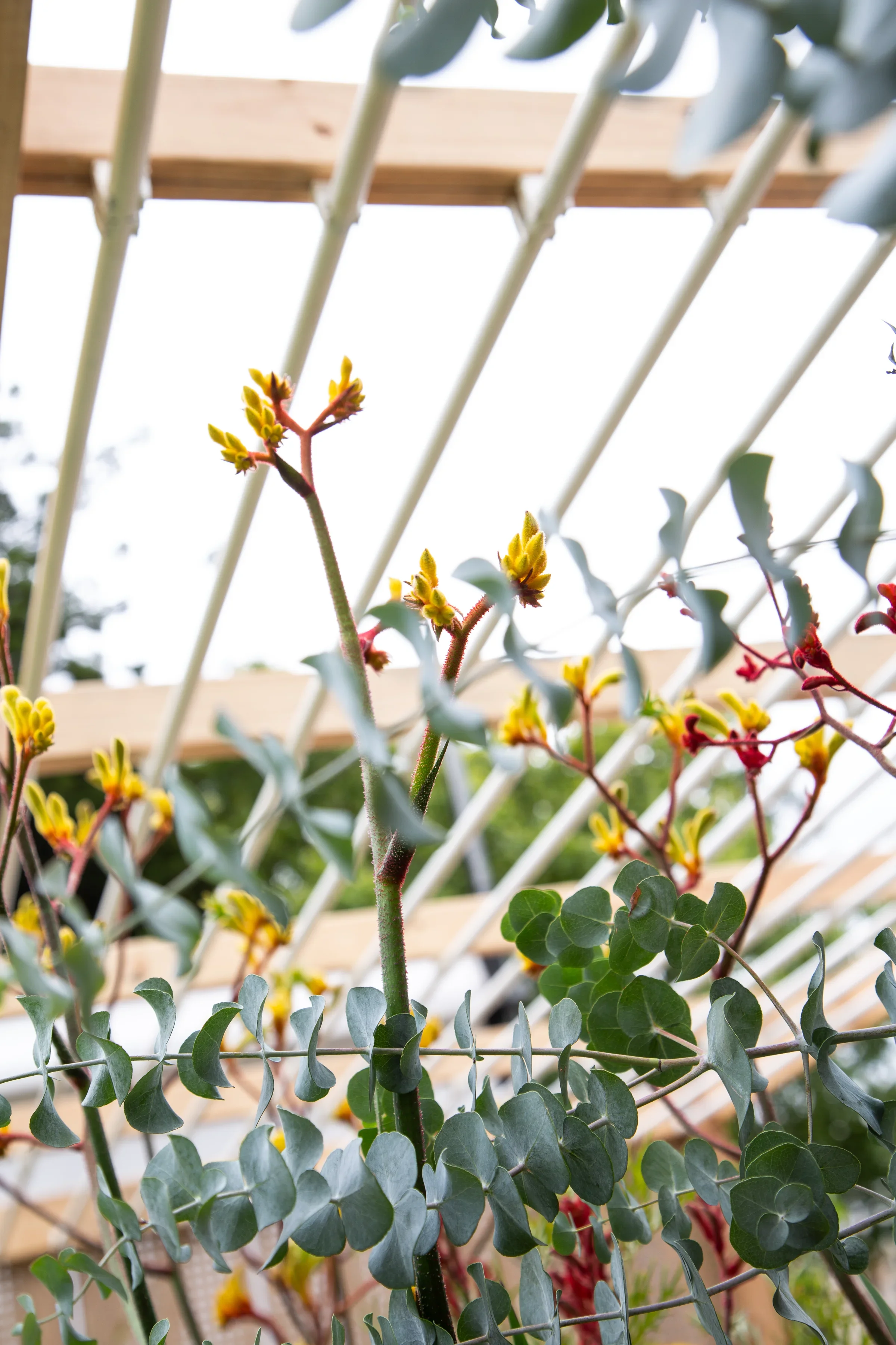 MIFGS_2026_Oasis in the Sky-54.webp