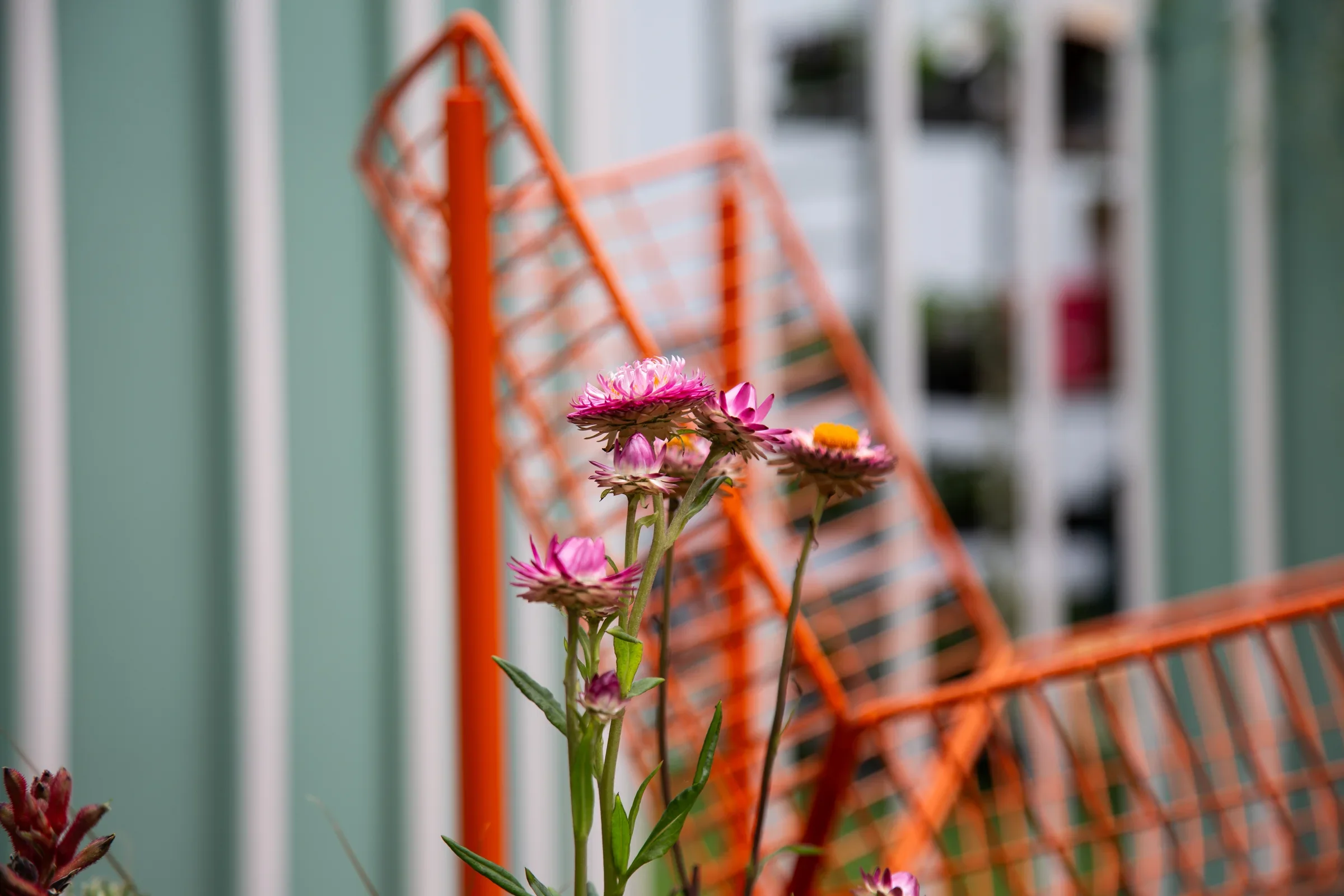 MIFGS_2026_Oasis in the Sky-23.webp