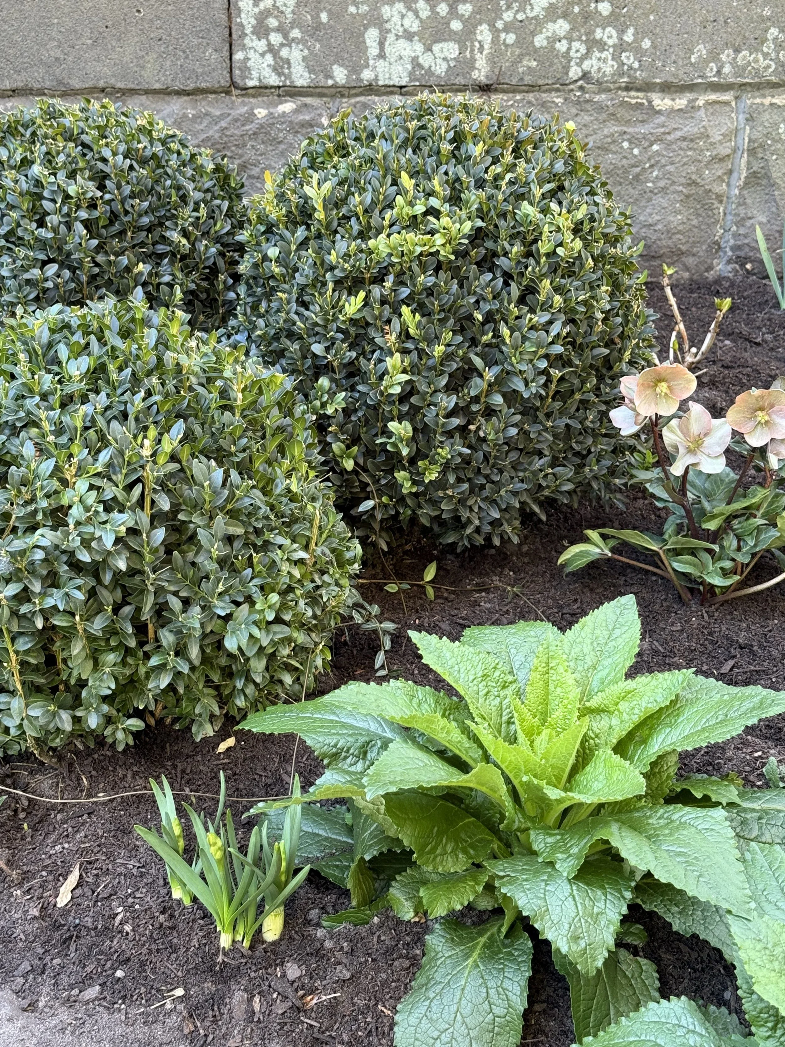 Luke Marshall Landscape Design 1.webp