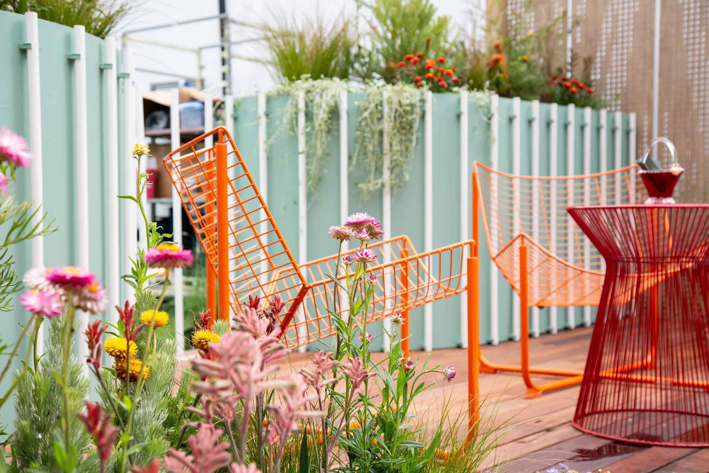 MIFGS_2026_Oasis in the Sky-71.webp