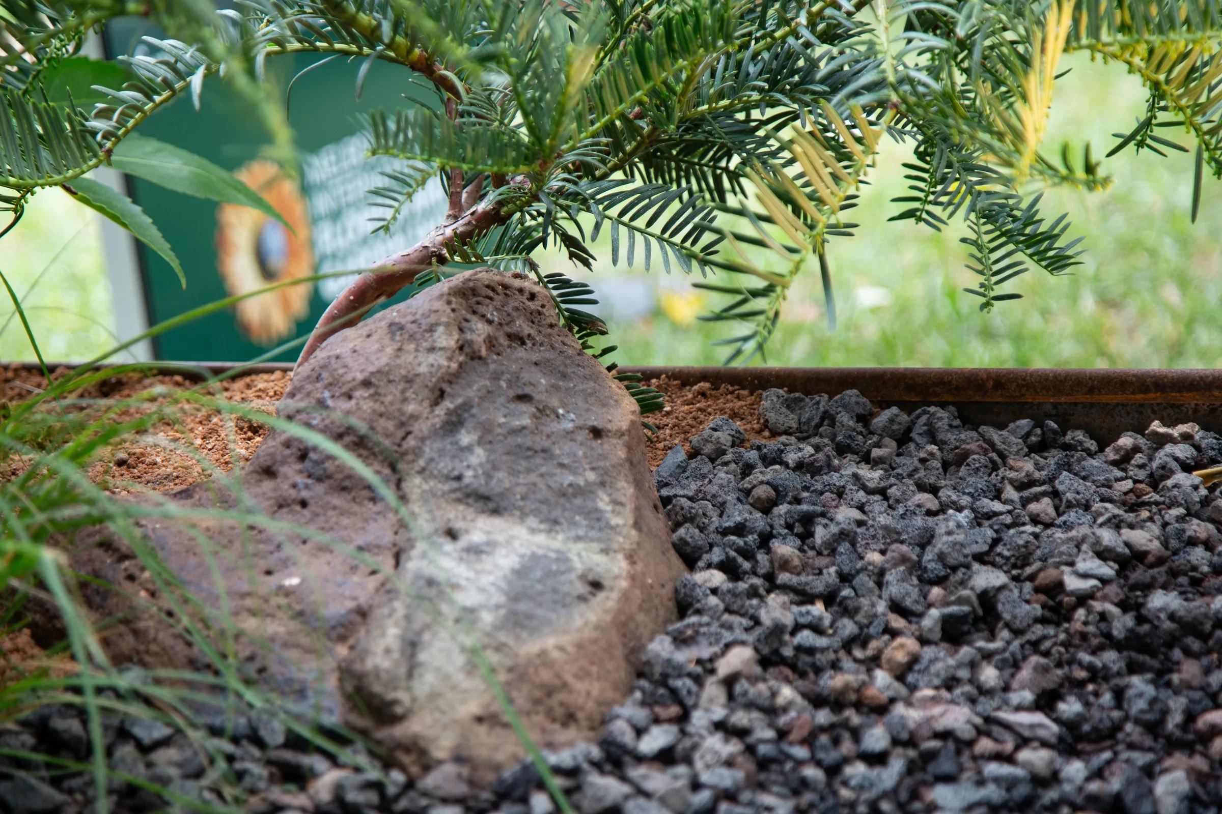 MIFGS_2026_Border Gardens-502.webp