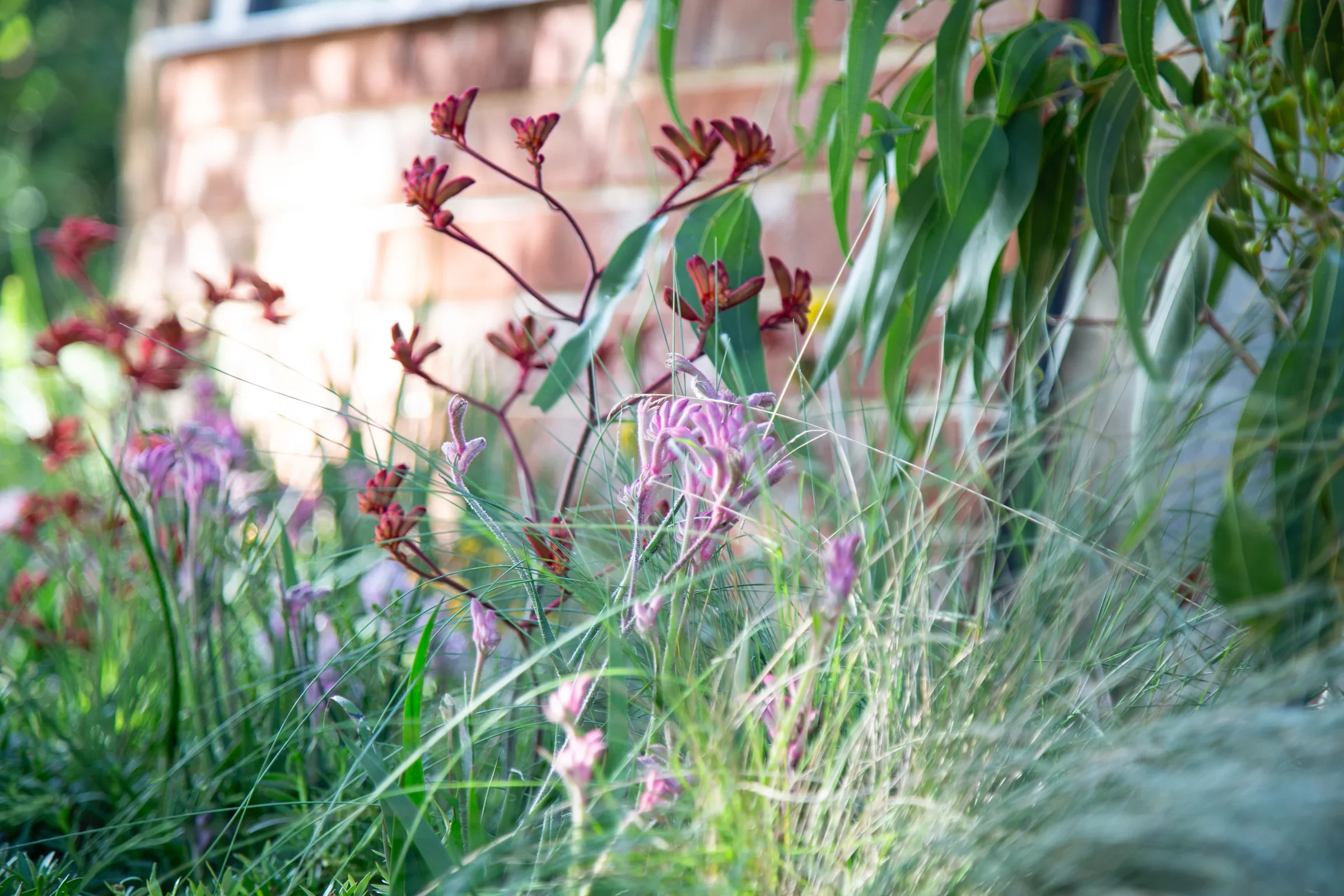 MIFGS_2026_Boutique Garden-11.webp