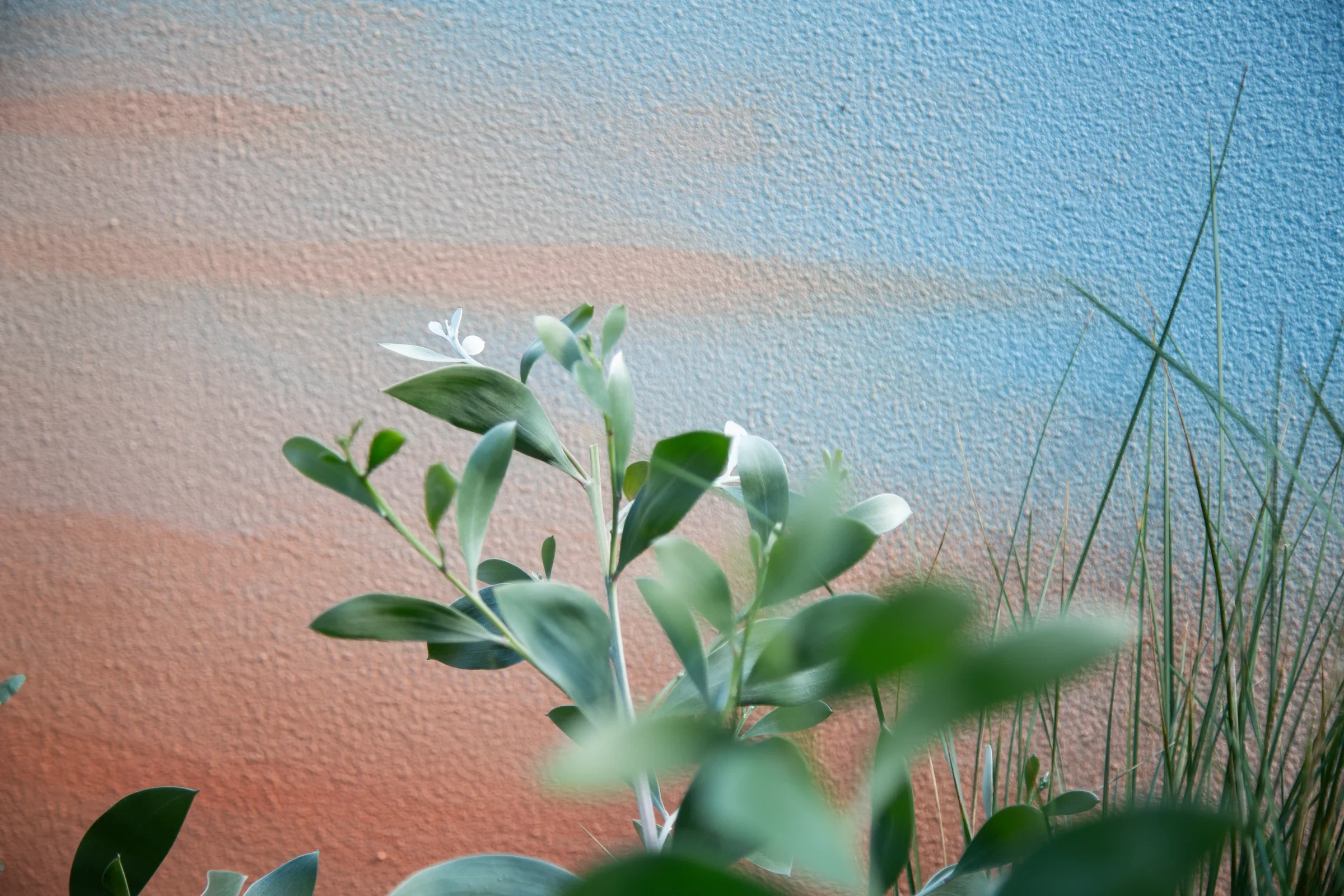 MIFGS_2026_Sunset Over Salt Lake-51.webp