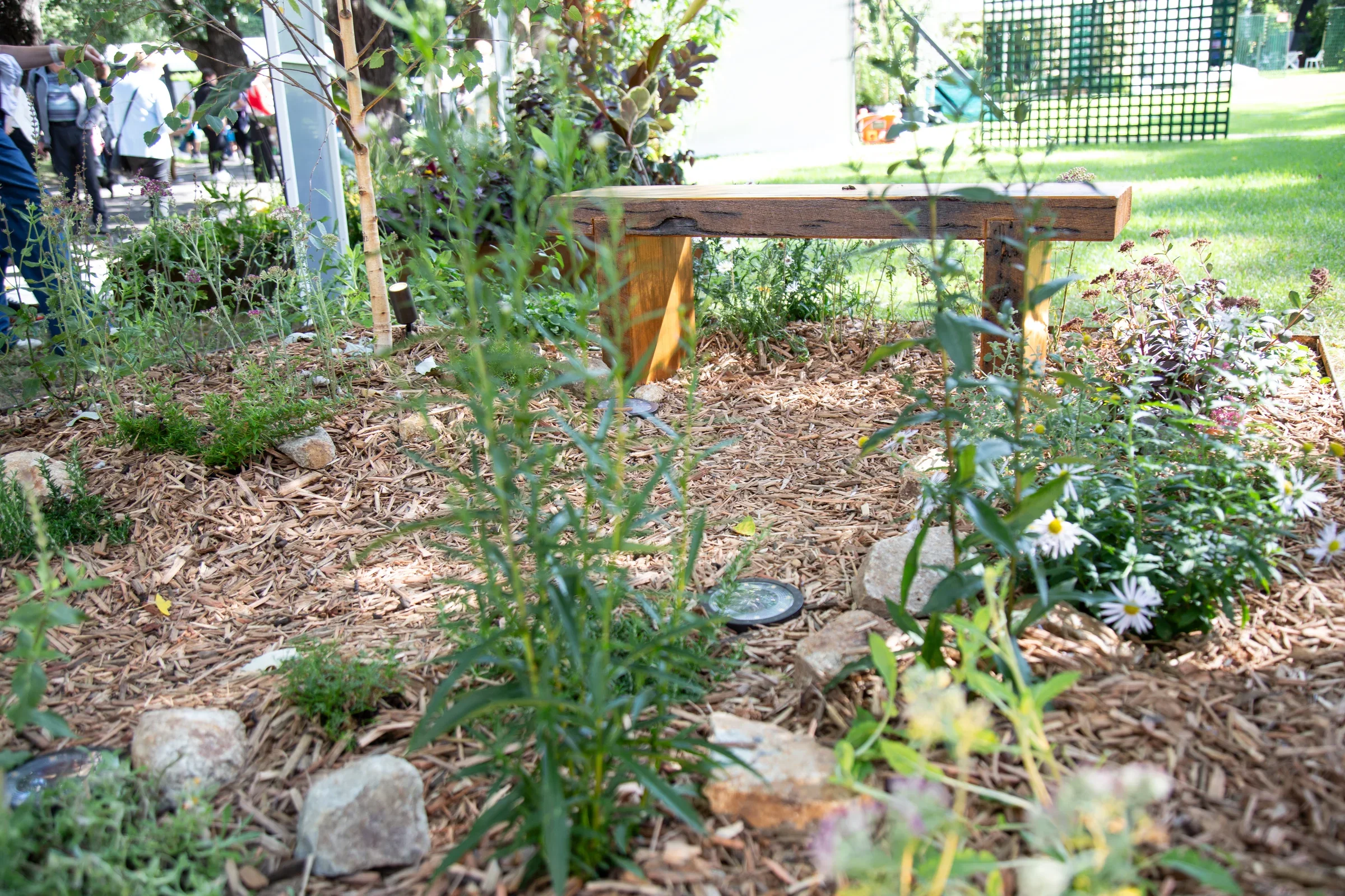 Where One Might Sit by Mikayla Morabito