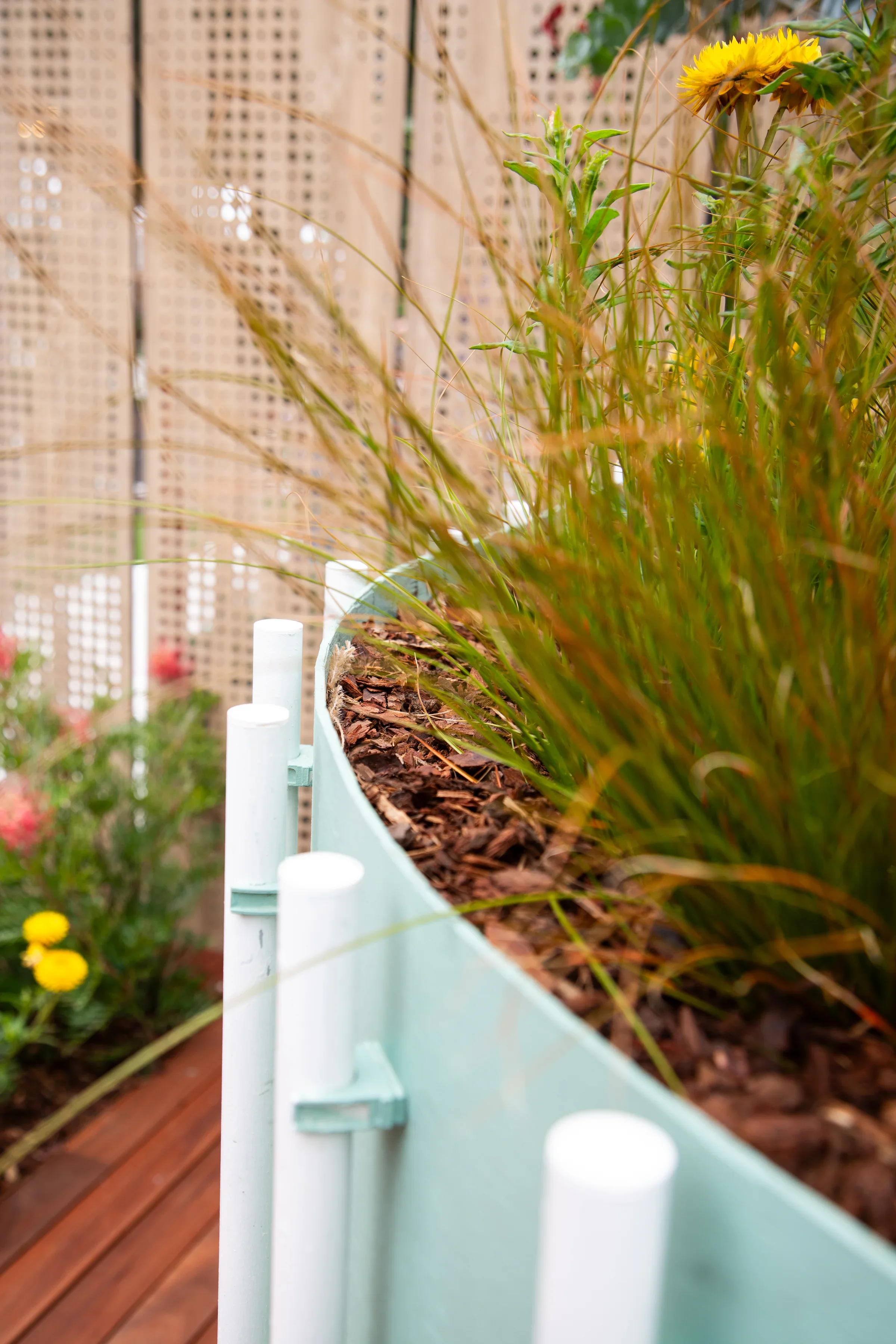 MIFGS_2026_Oasis in the Sky-44.webp