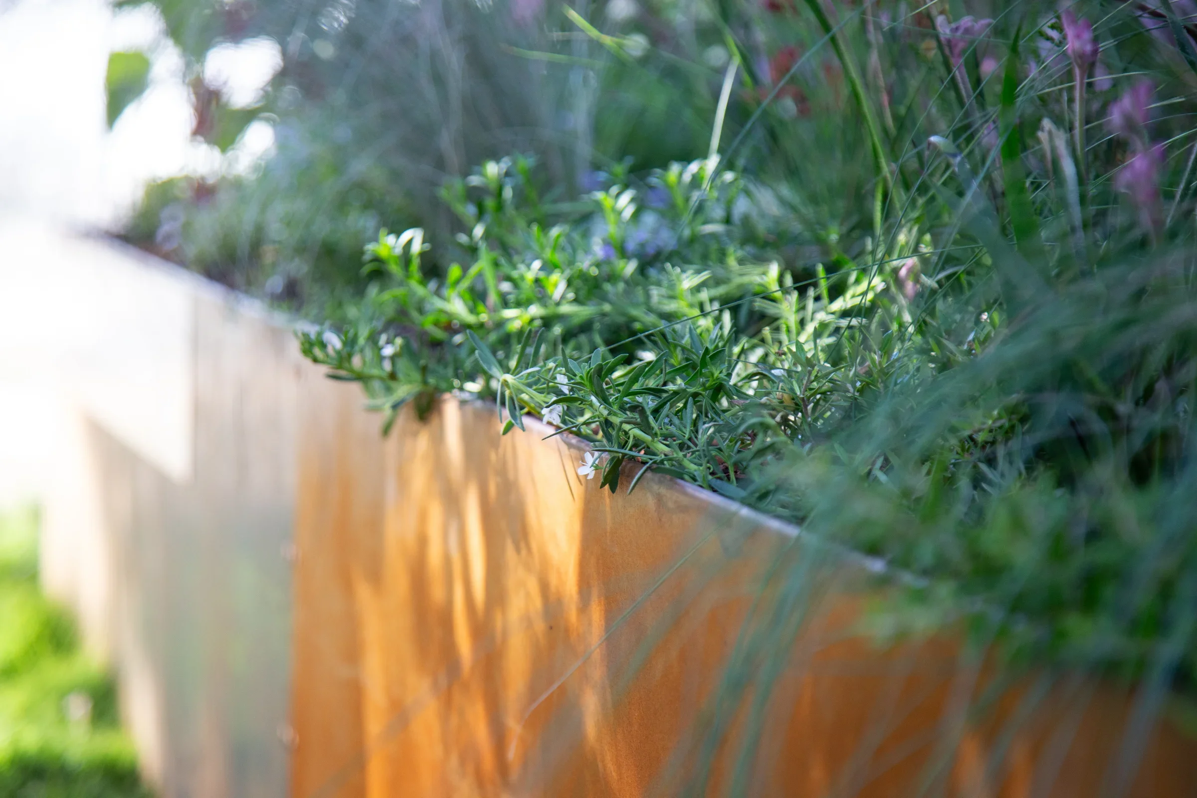 MIFGS_2026_Boutique Garden-67.webp