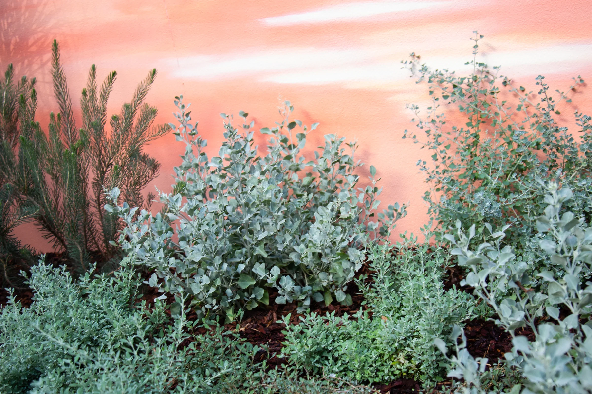 MIFGS_2026_Sunset Over Salt Lake-56.webp