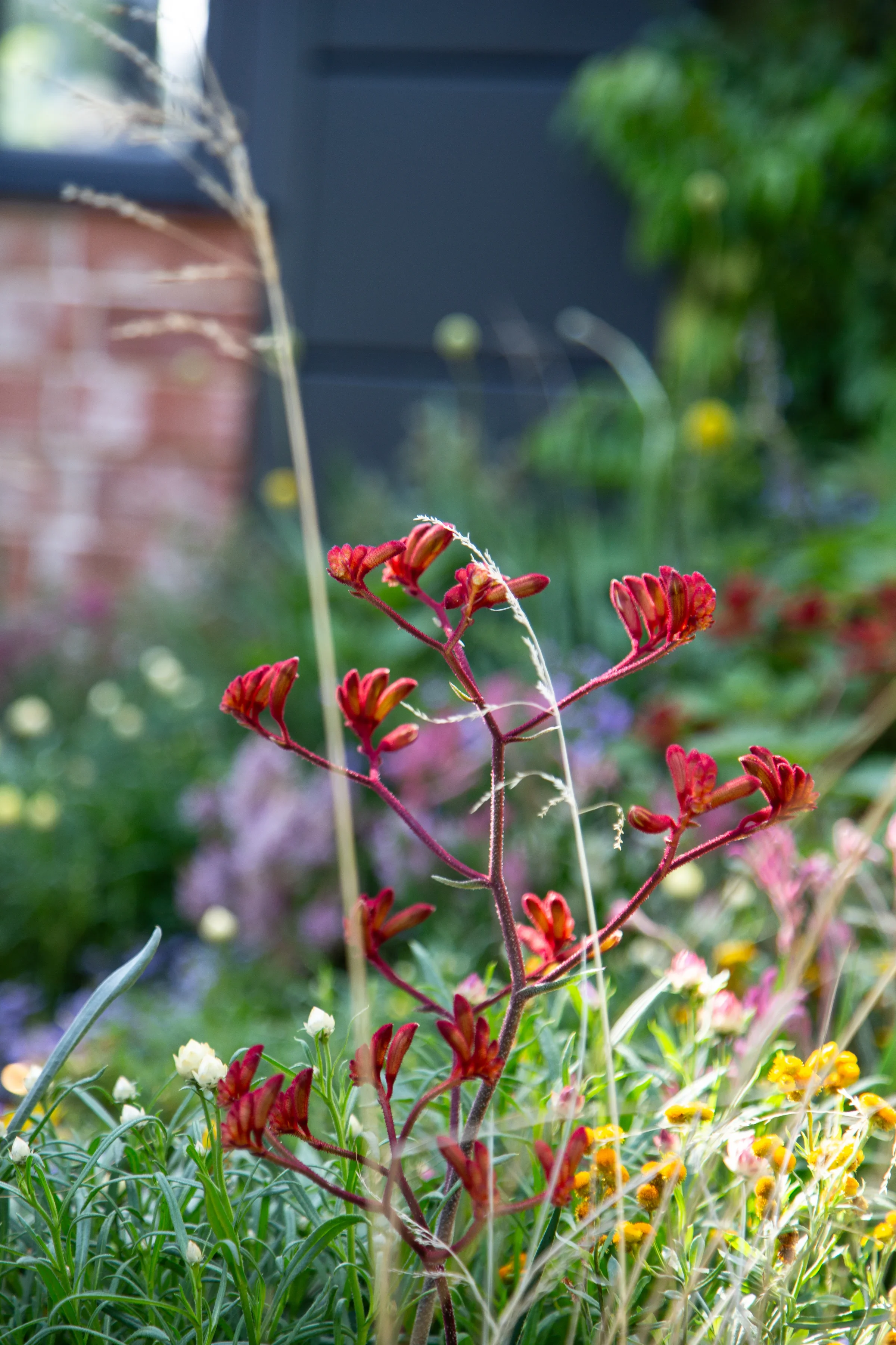 MIFGS_2026_Boutique Garden-93.webp