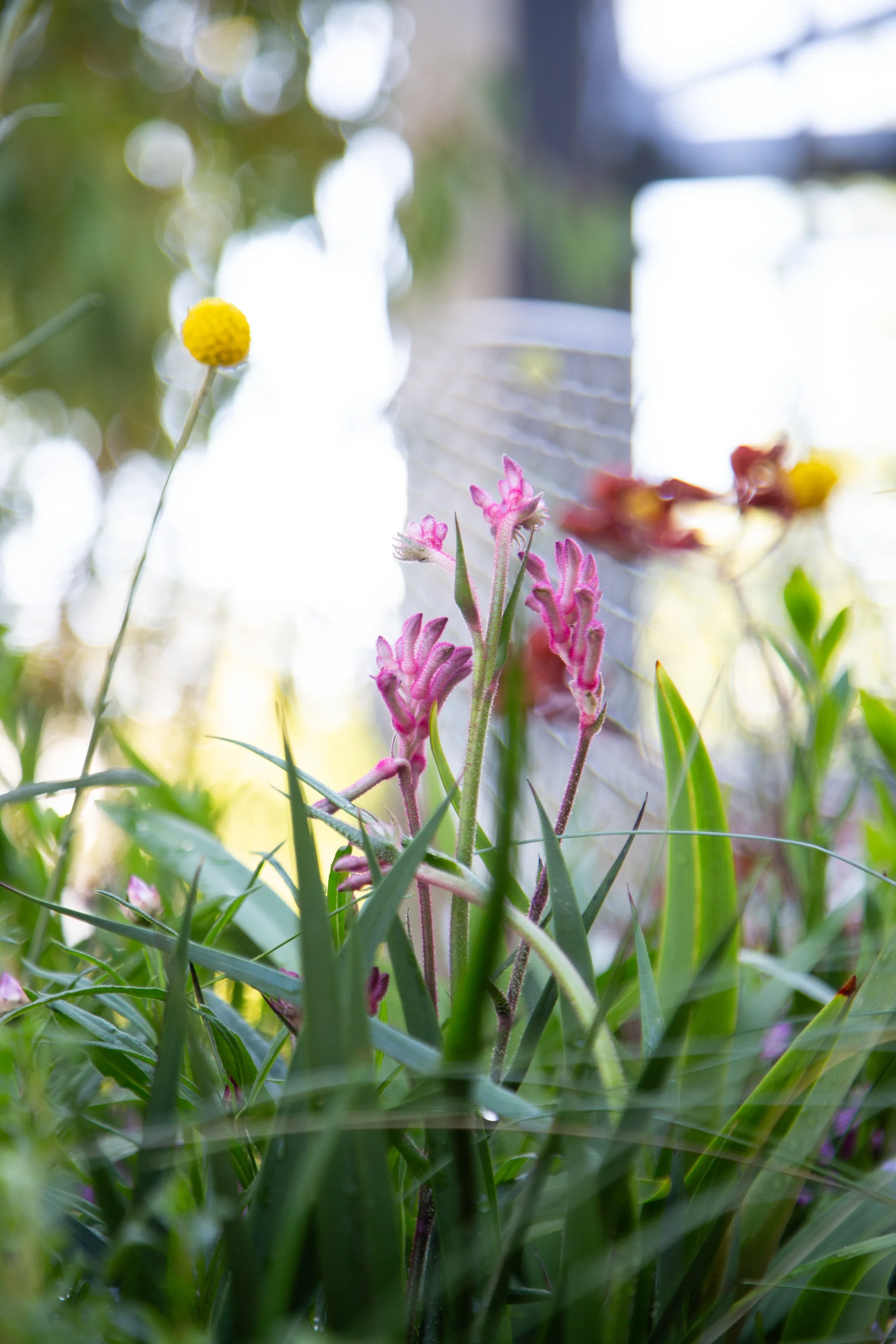 MIFGS_2026_Boutique Garden-27.webp