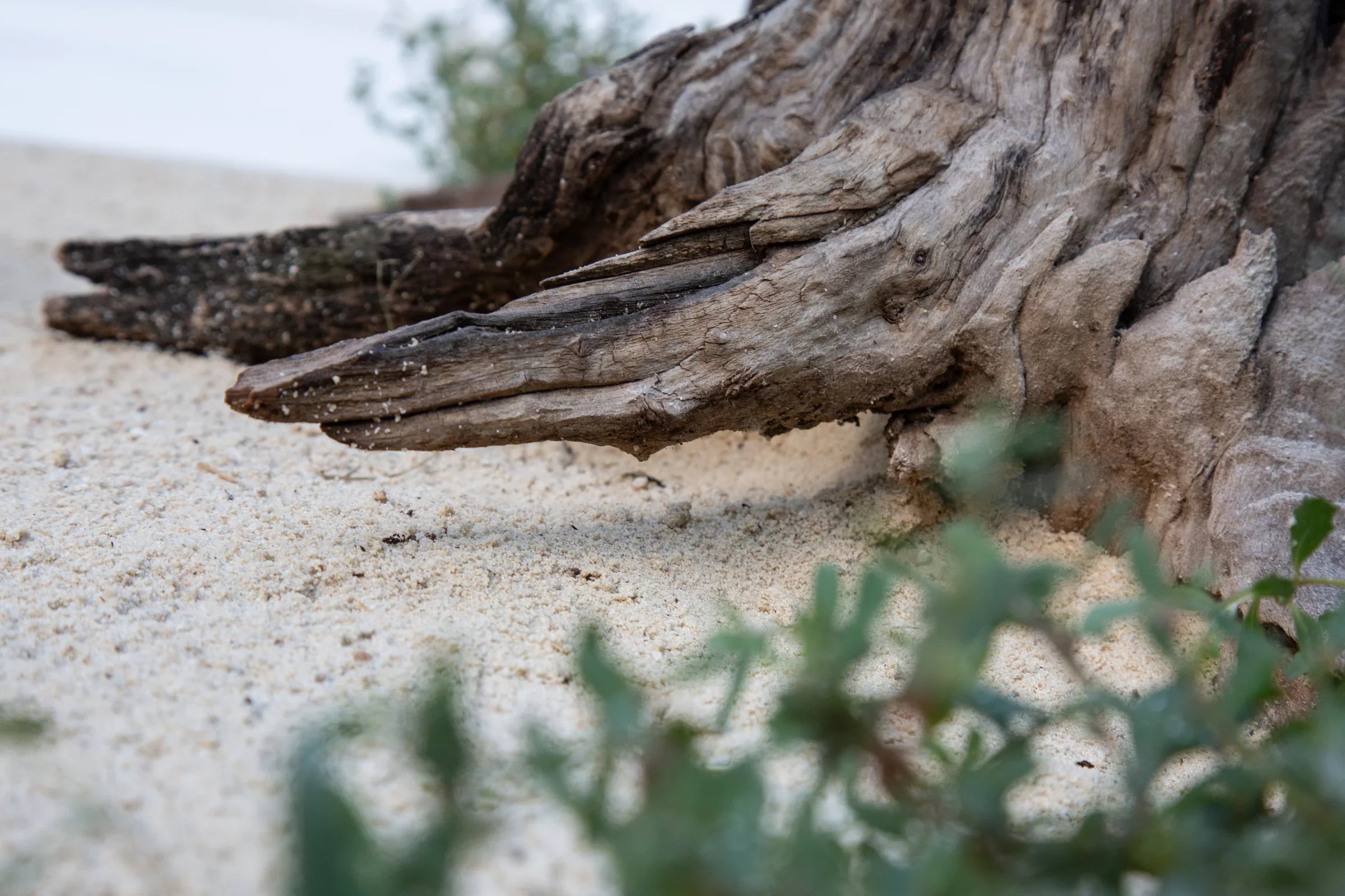 MIFGS_2026_Sunset Over Salt Lake-25.webp