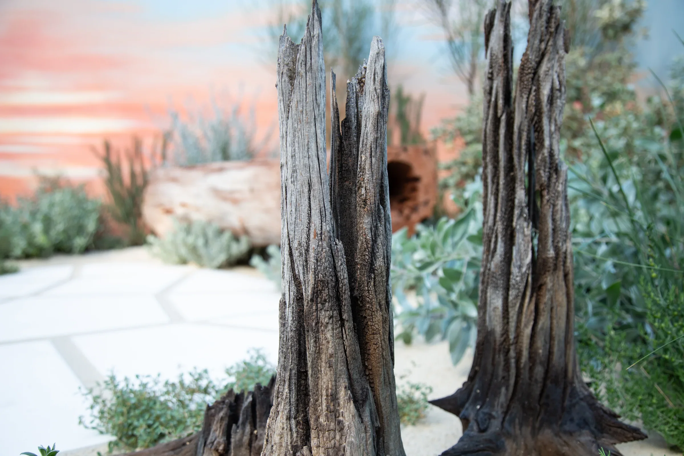 MIFGS_2026_Sunset Over Salt Lake-05.webp