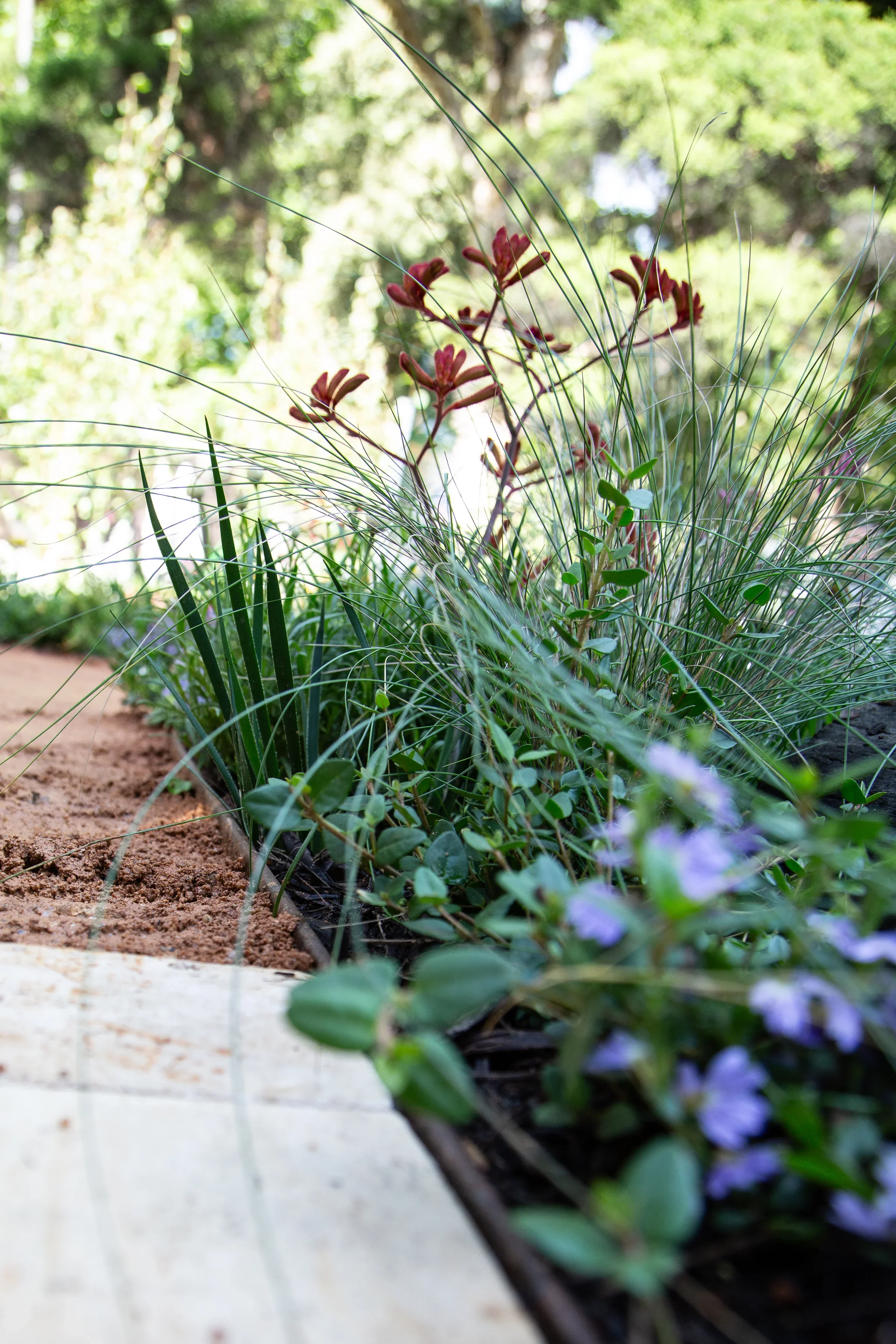 MIFGS_2026_Boutique Garden-82.webp