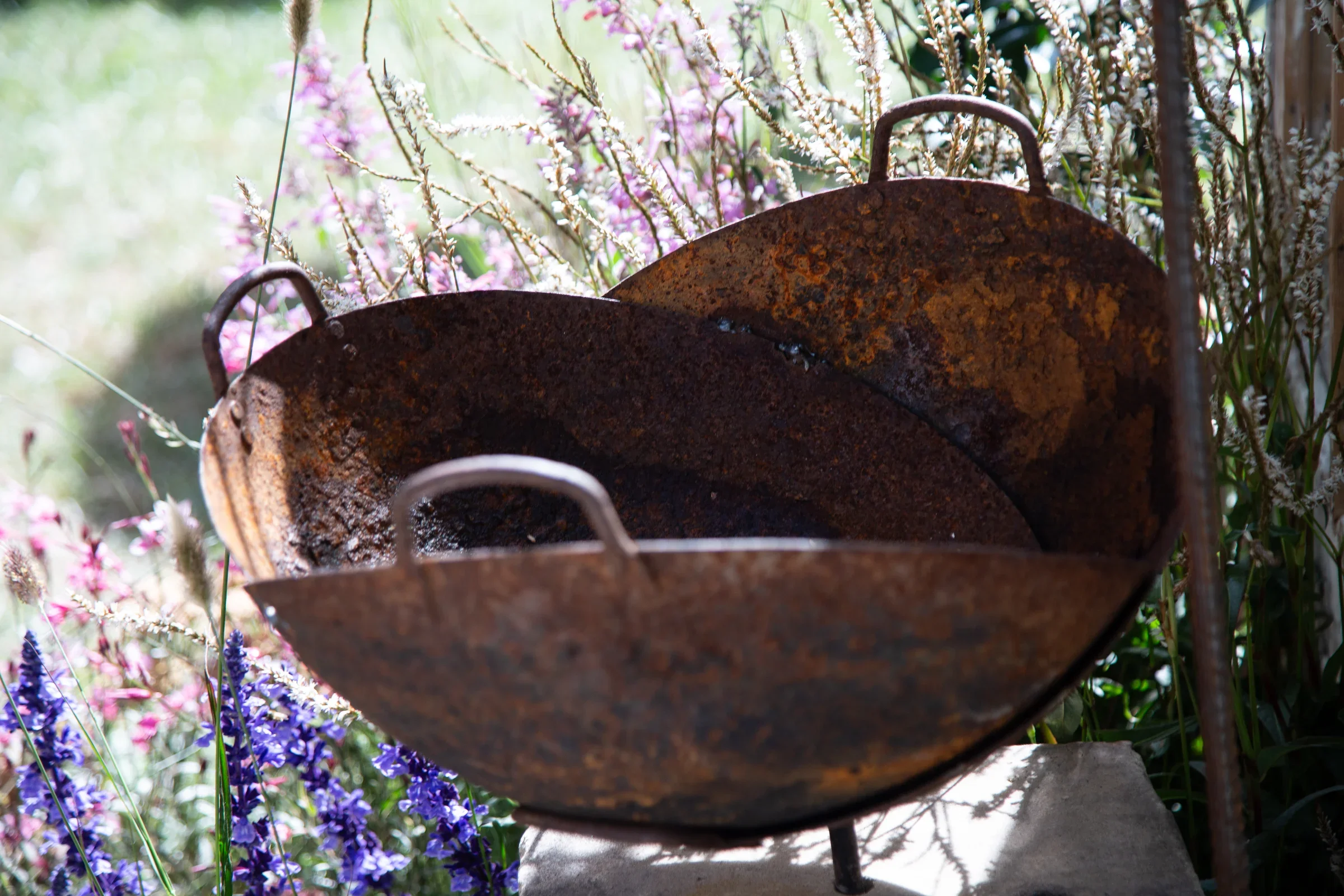 2nd Place — Look Within by Amy Fisher