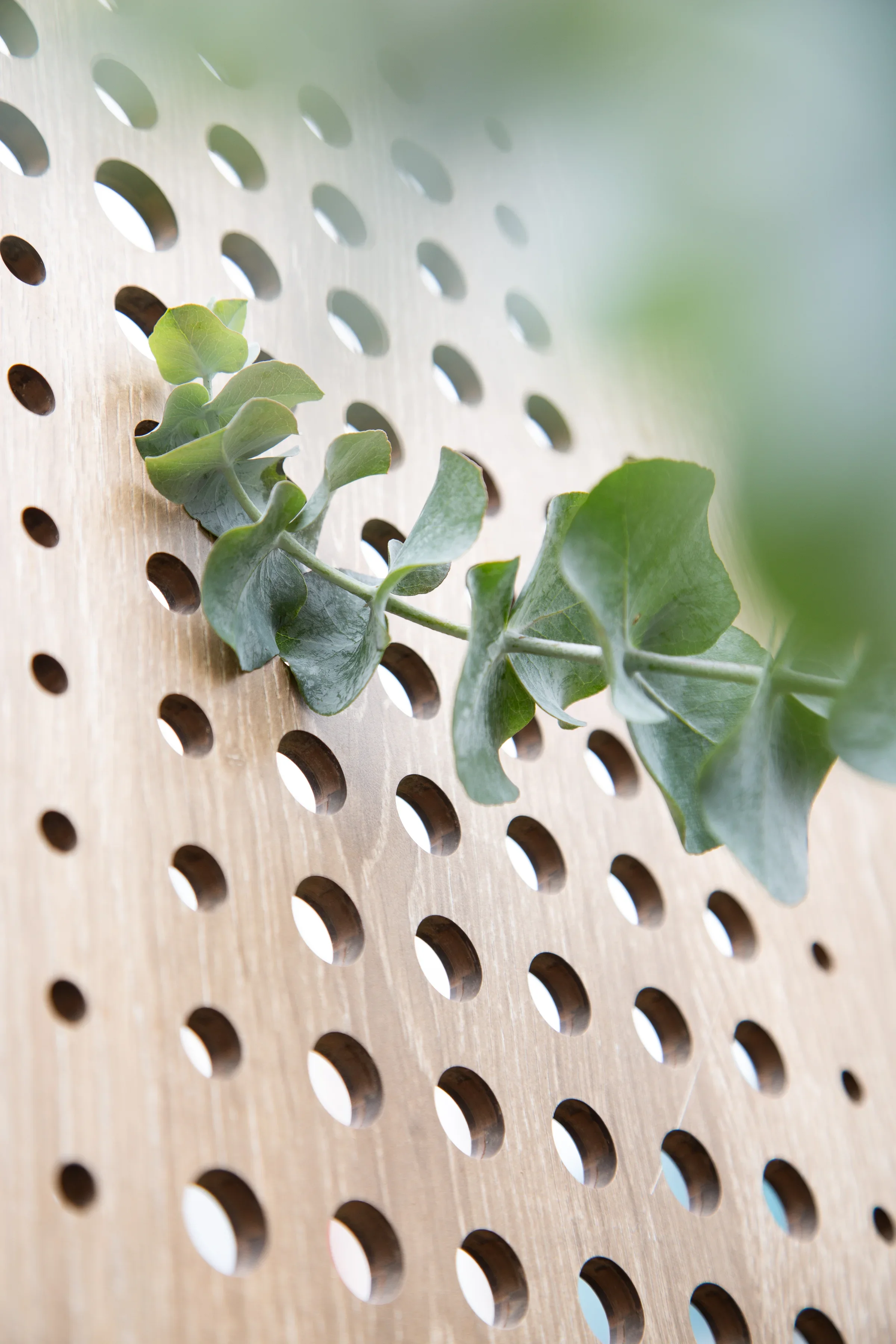 MIFGS_2026_Oasis in the Sky-45.webp