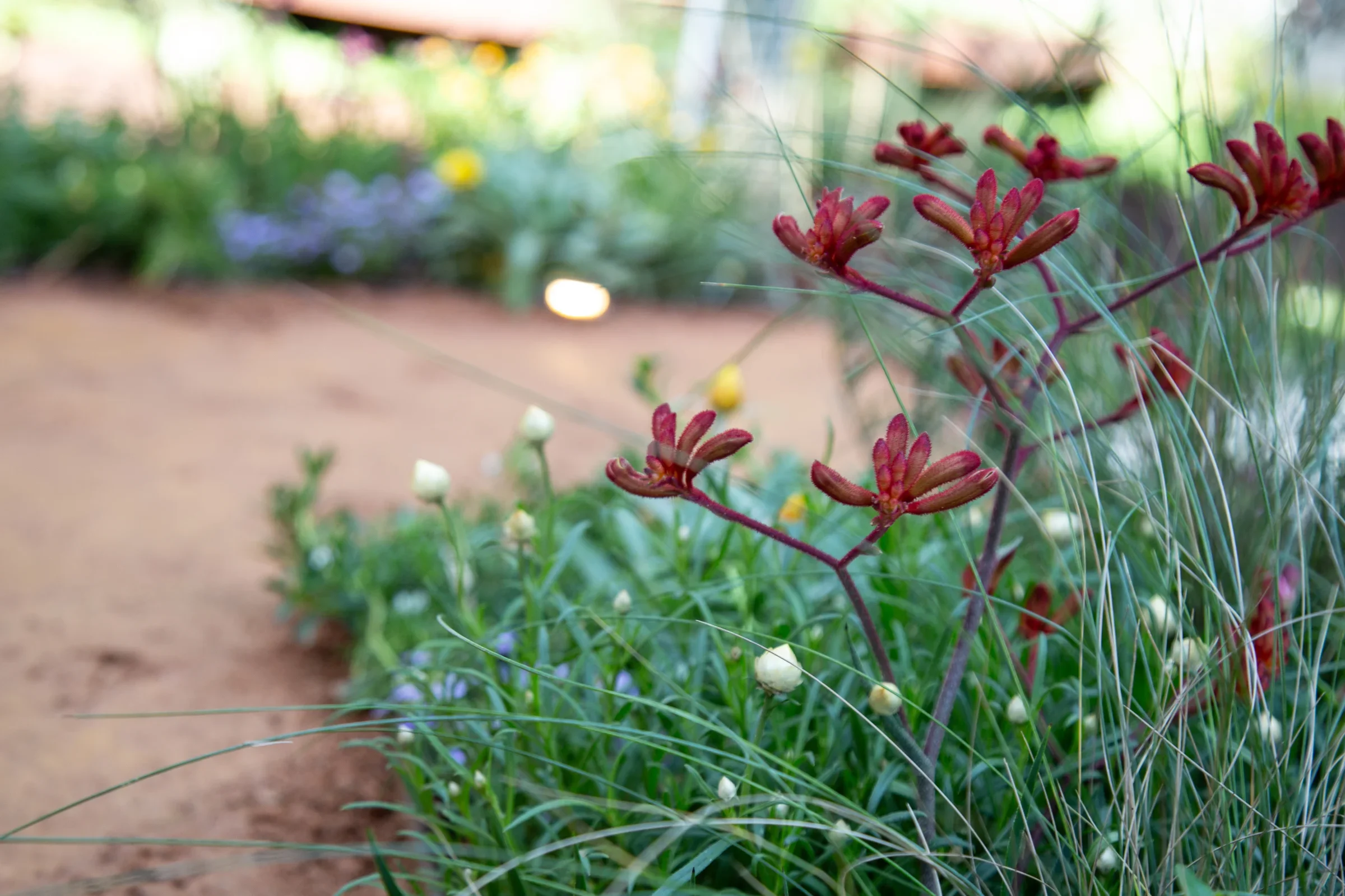 MIFGS_2026_Boutique Garden-81.webp