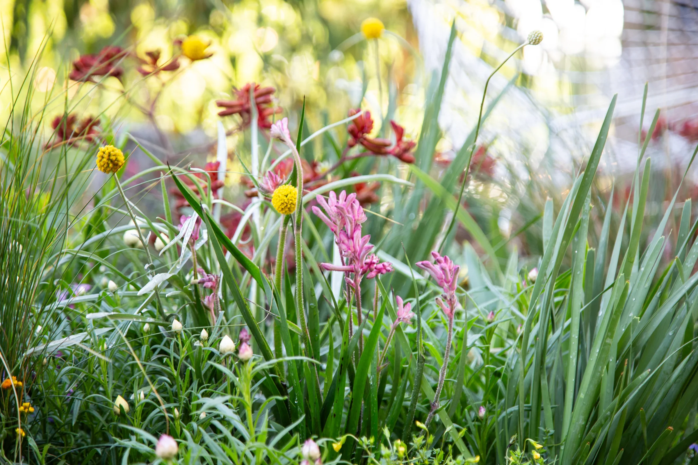 MIFGS_2026_Boutique Garden-05.webp