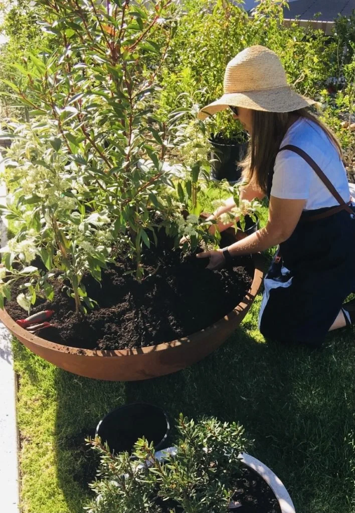 A woman wearing a straw hat, white t-shirt, black apron, and gloves is kneeling in a garden planting or tending to a row of shrubs in a large container. Sunlight and lush greenery surround her.