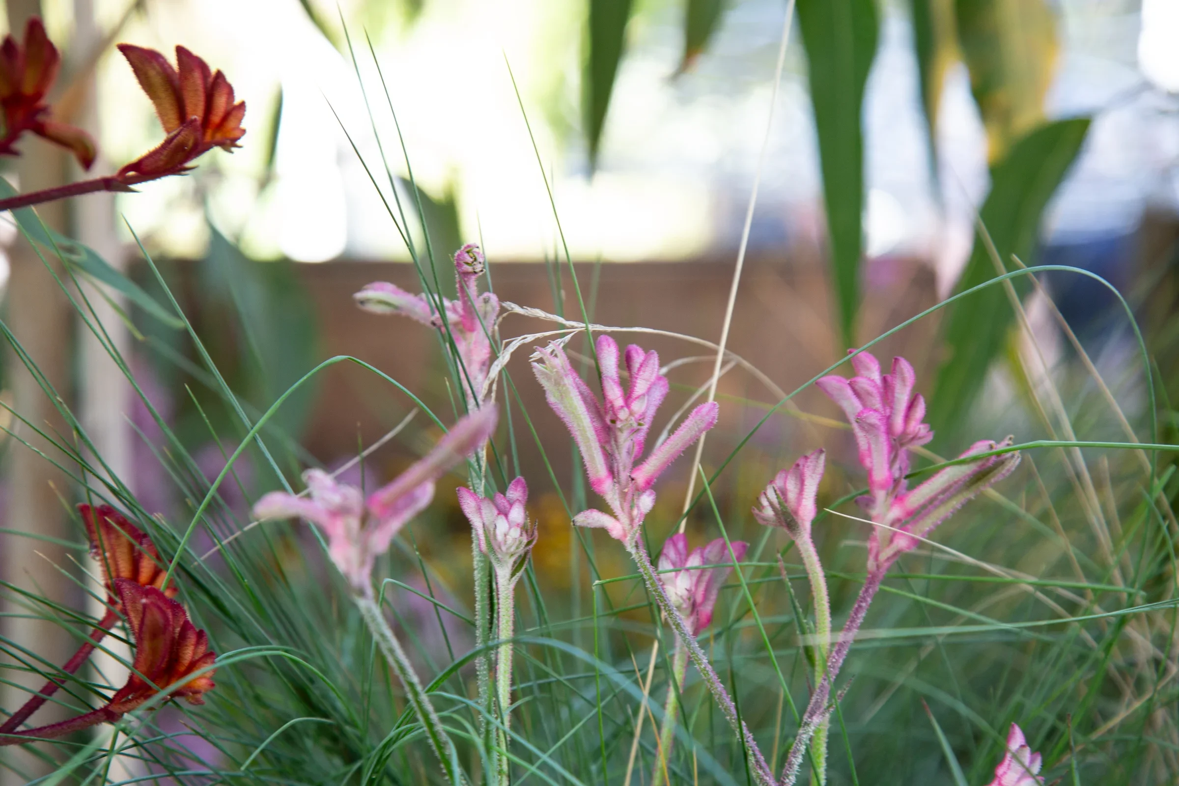 MIFGS_2026_Boutique Garden-56.webp