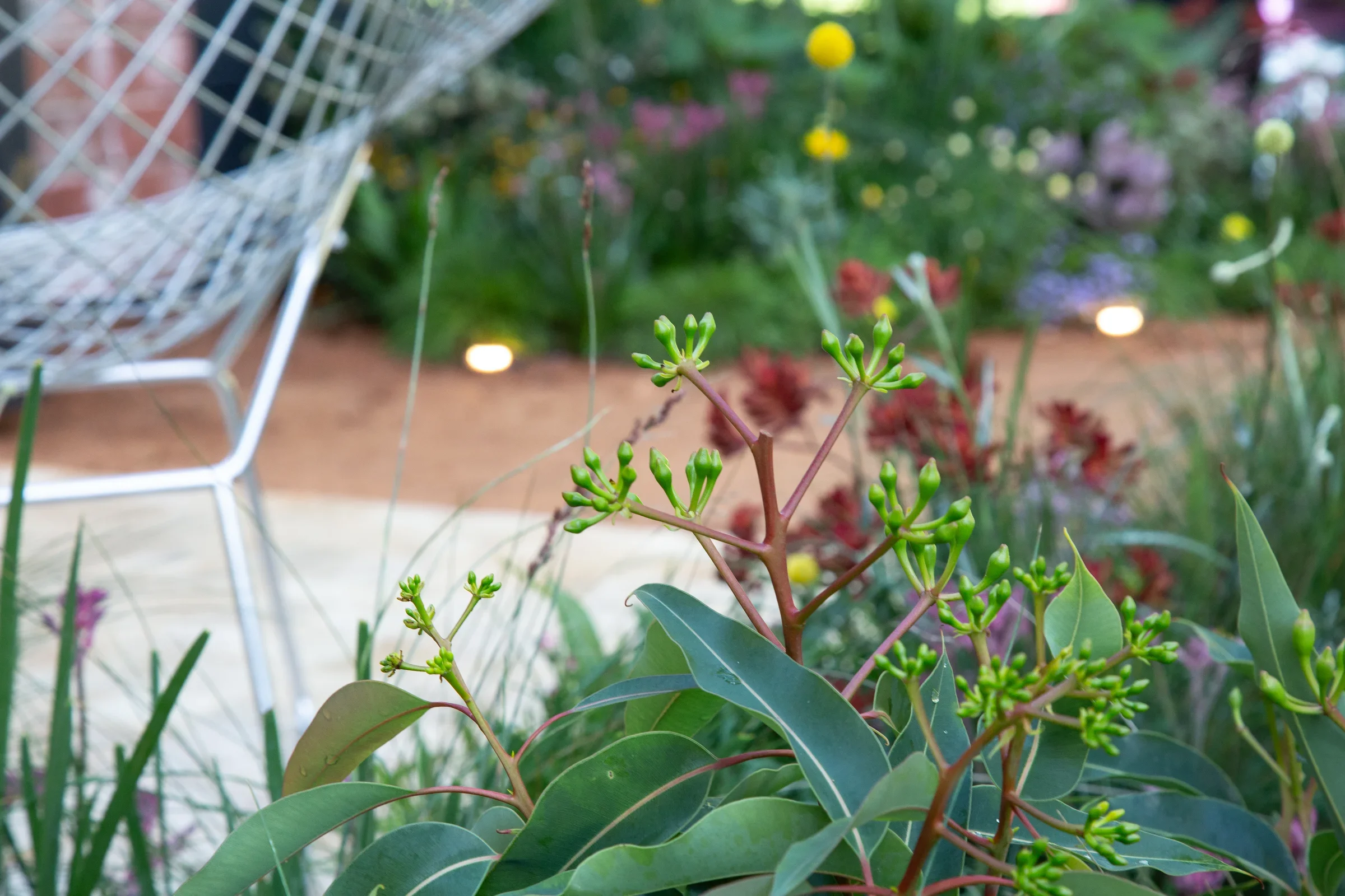 MIFGS_2026_Boutique Garden-54.webp