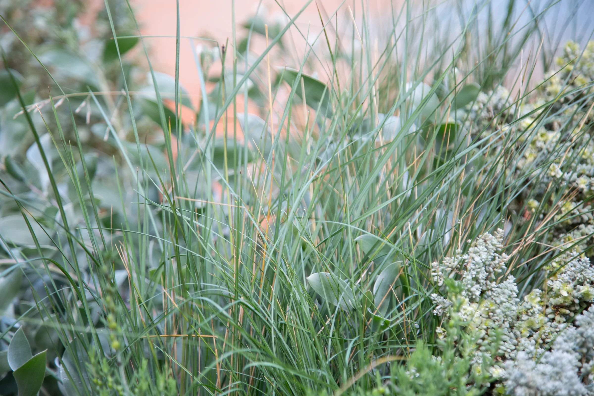 MIFGS_2026_Sunset Over Salt Lake-07.webp