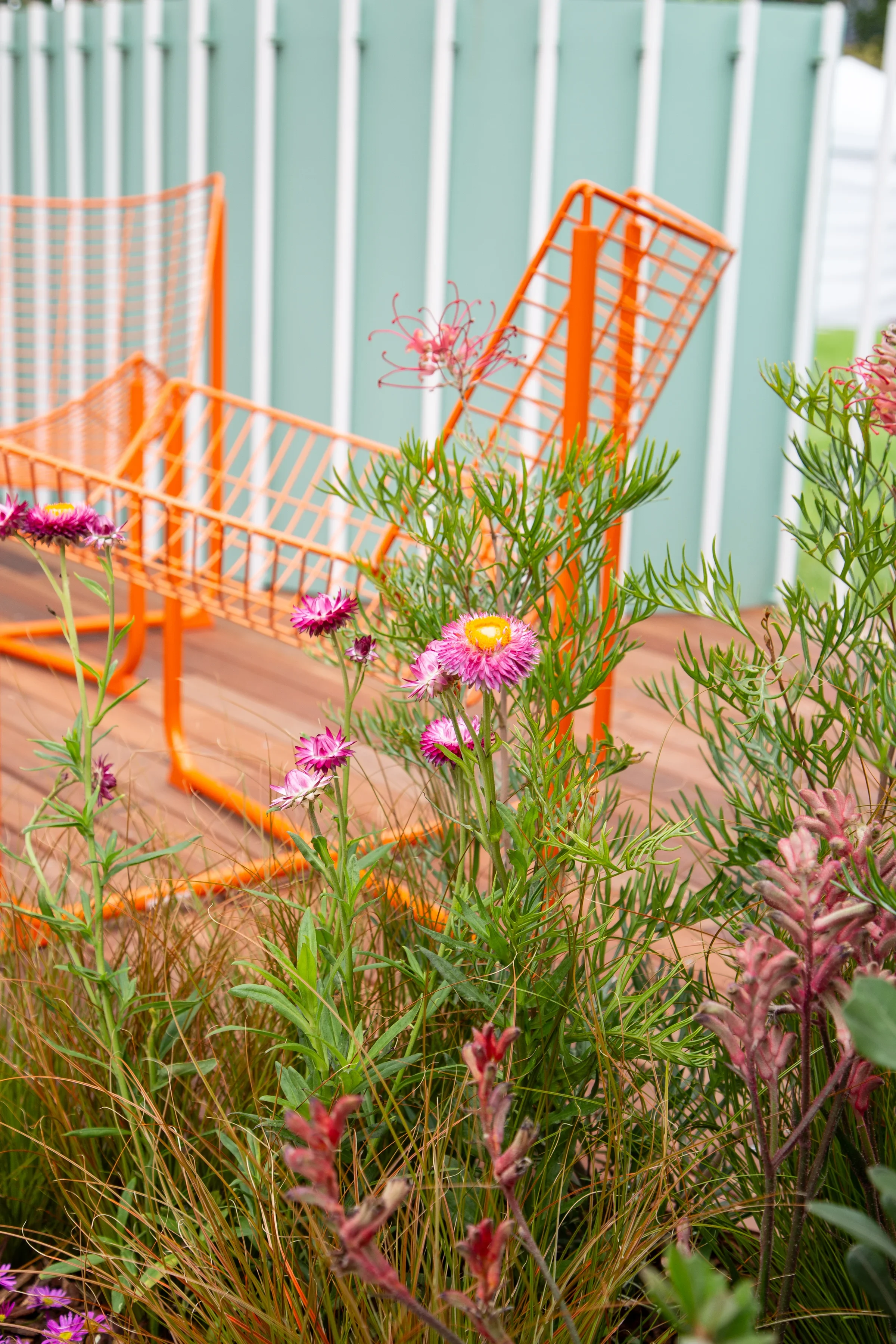 MIFGS_2026_Oasis in the Sky-73.webp