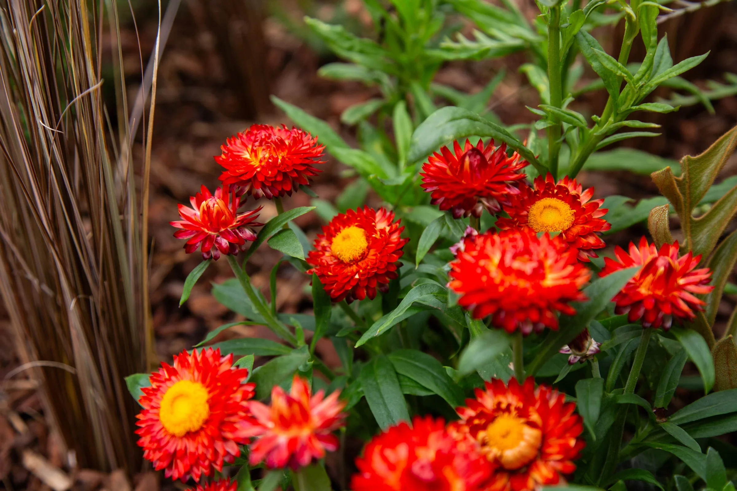 MIFGS_2026_Oasis in the Sky-37.webp