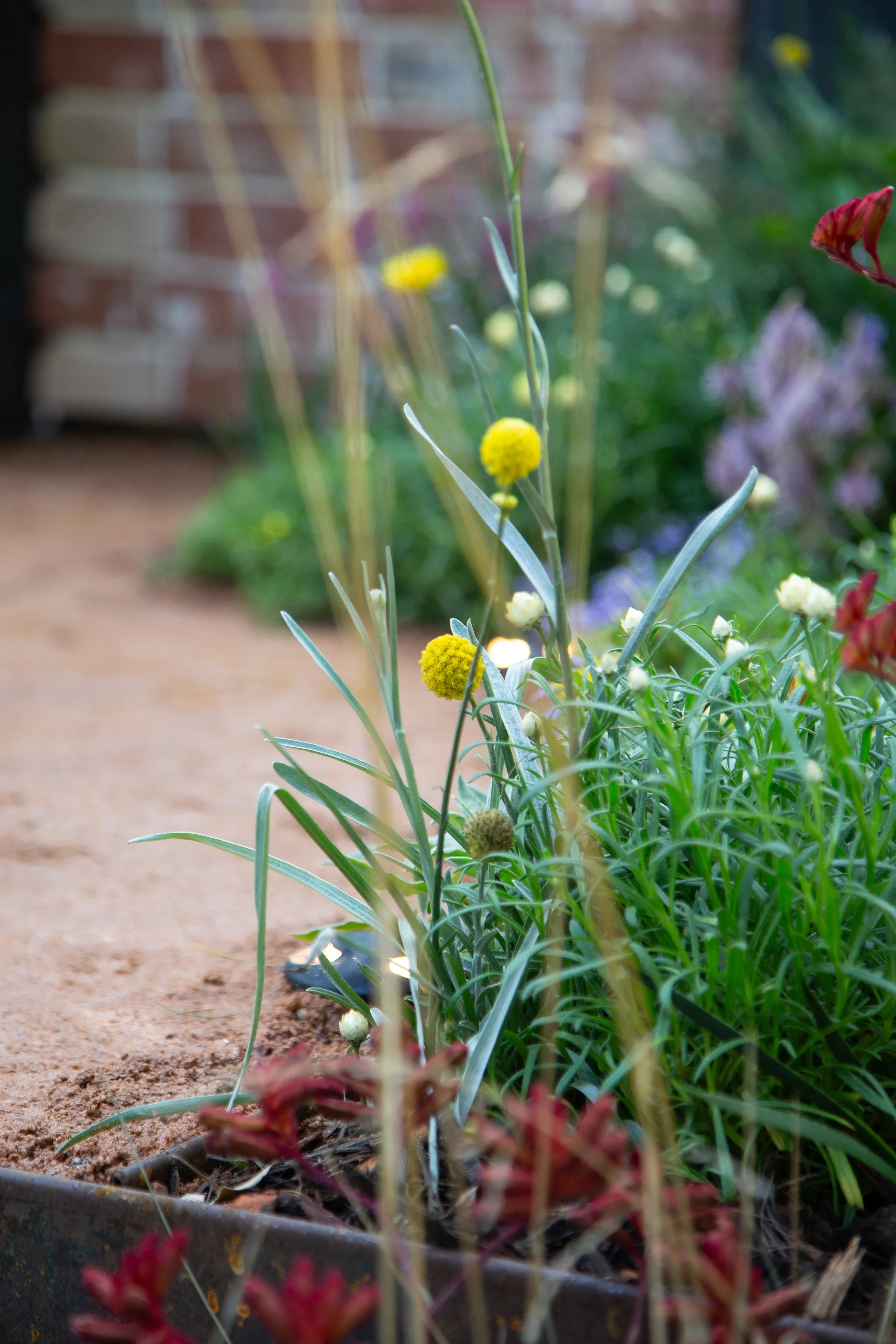 MIFGS_2026_Boutique Garden-92.webp