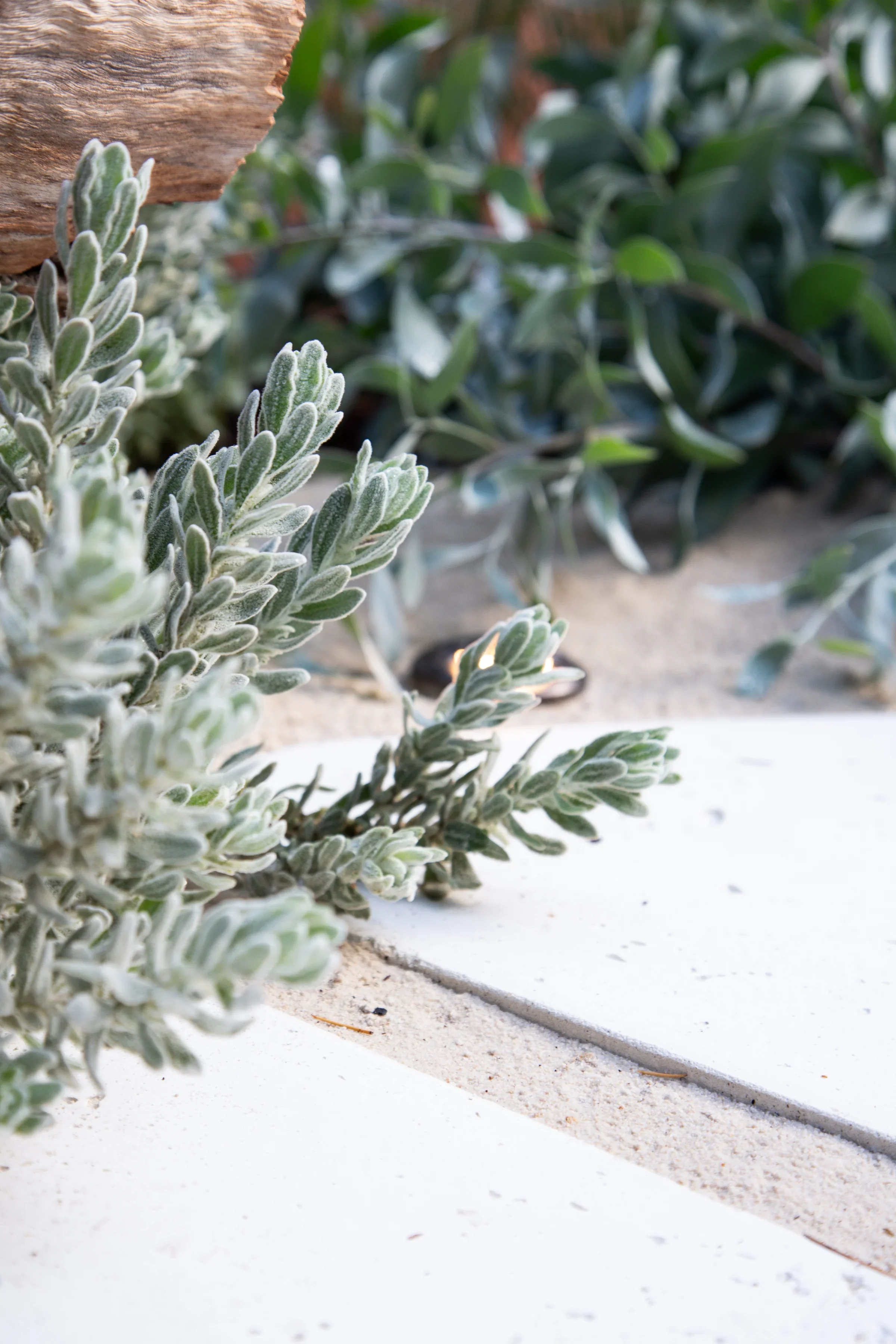 MIFGS_2026_Sunset Over Salt Lake-39.webp