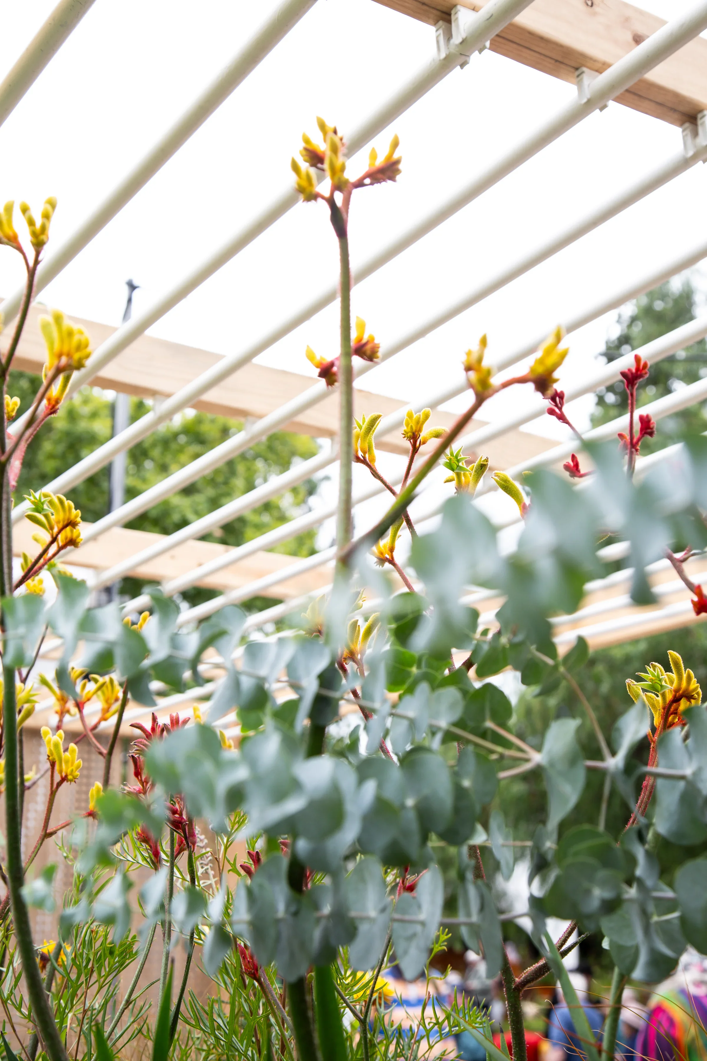 MIFGS_2026_Oasis in the Sky-57.webp