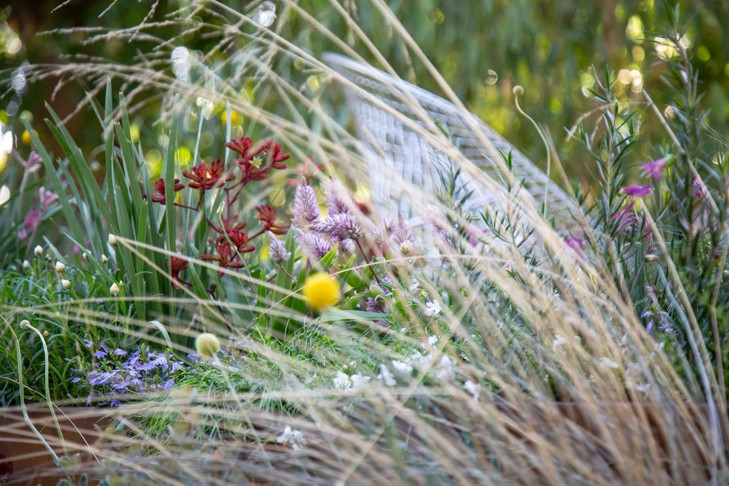 MIFGS_2026_Boutique Garden-28.webp