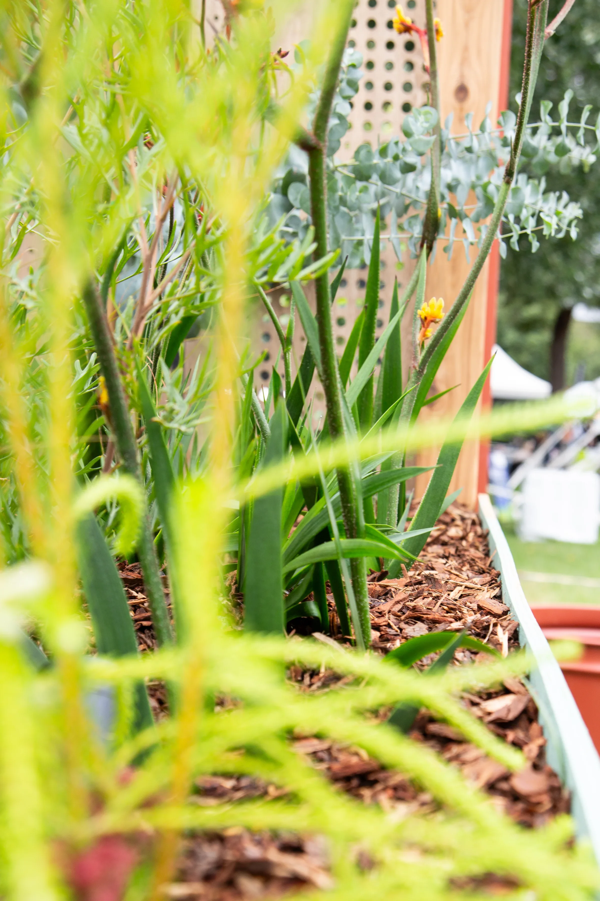 MIFGS_2026_Oasis in the Sky-42.webp