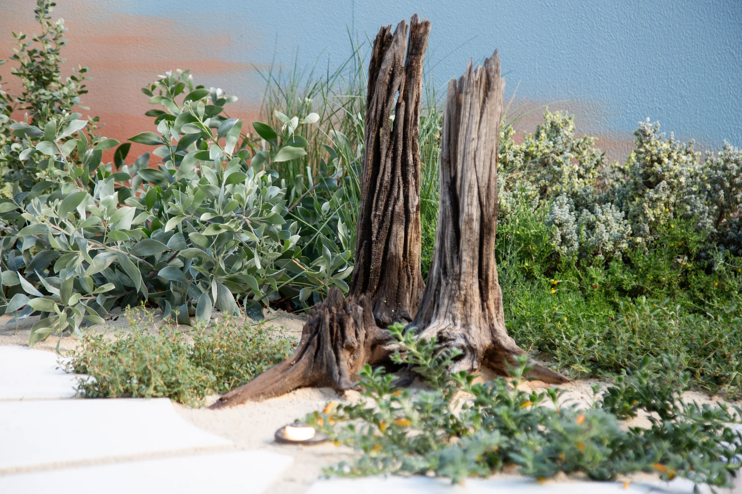 MIFGS_2026_Sunset Over Salt Lake-71.webp