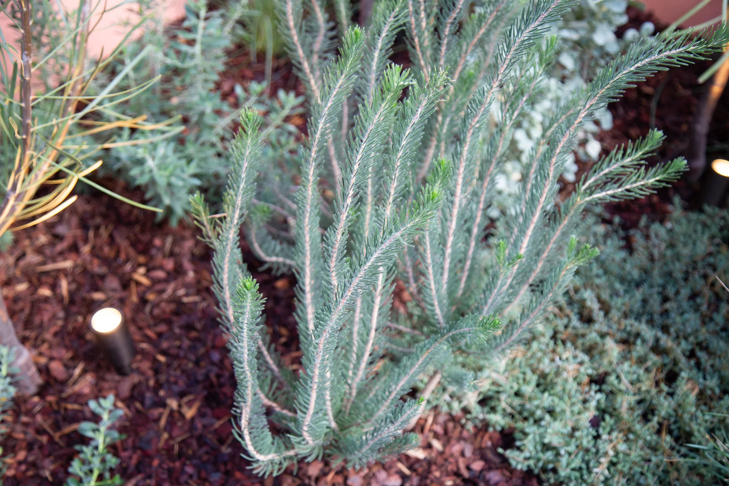 MIFGS_2026_Sunset Over Salt Lake-65.webp