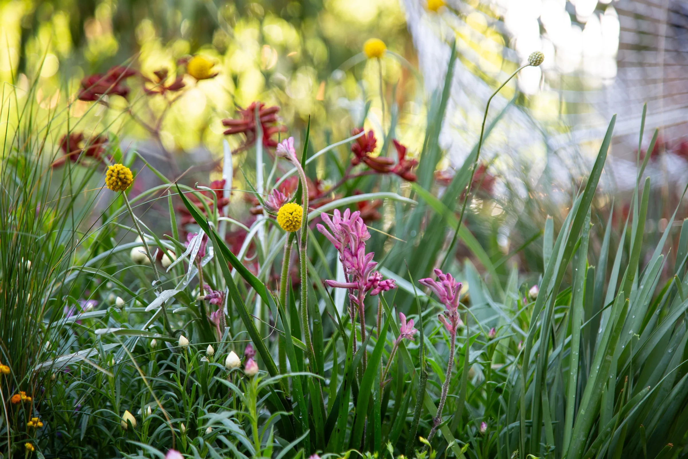 MIFGS_2026_Boutique Garden-06.webp