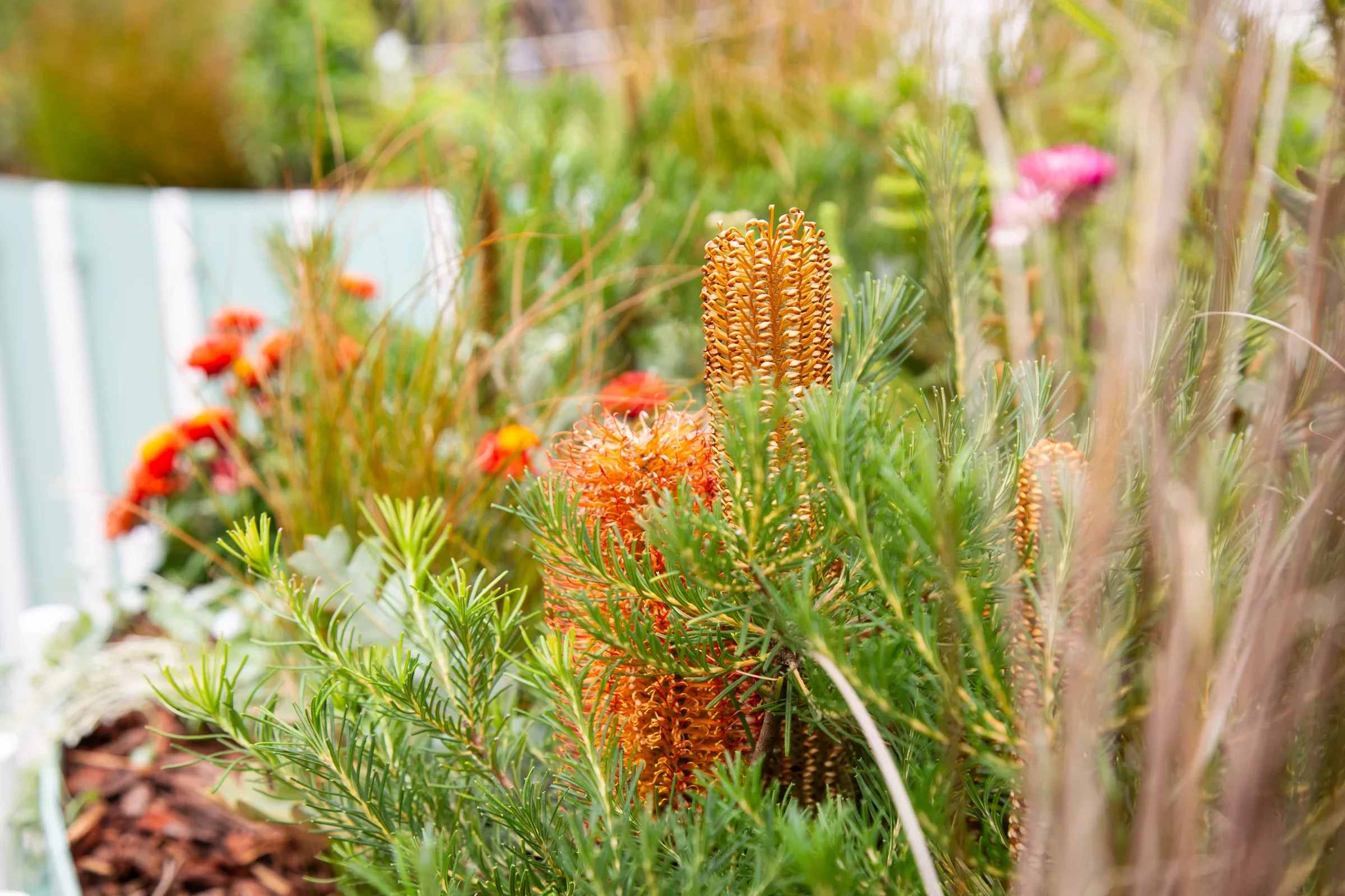 MIFGS_2026_Oasis in the Sky-38.webp