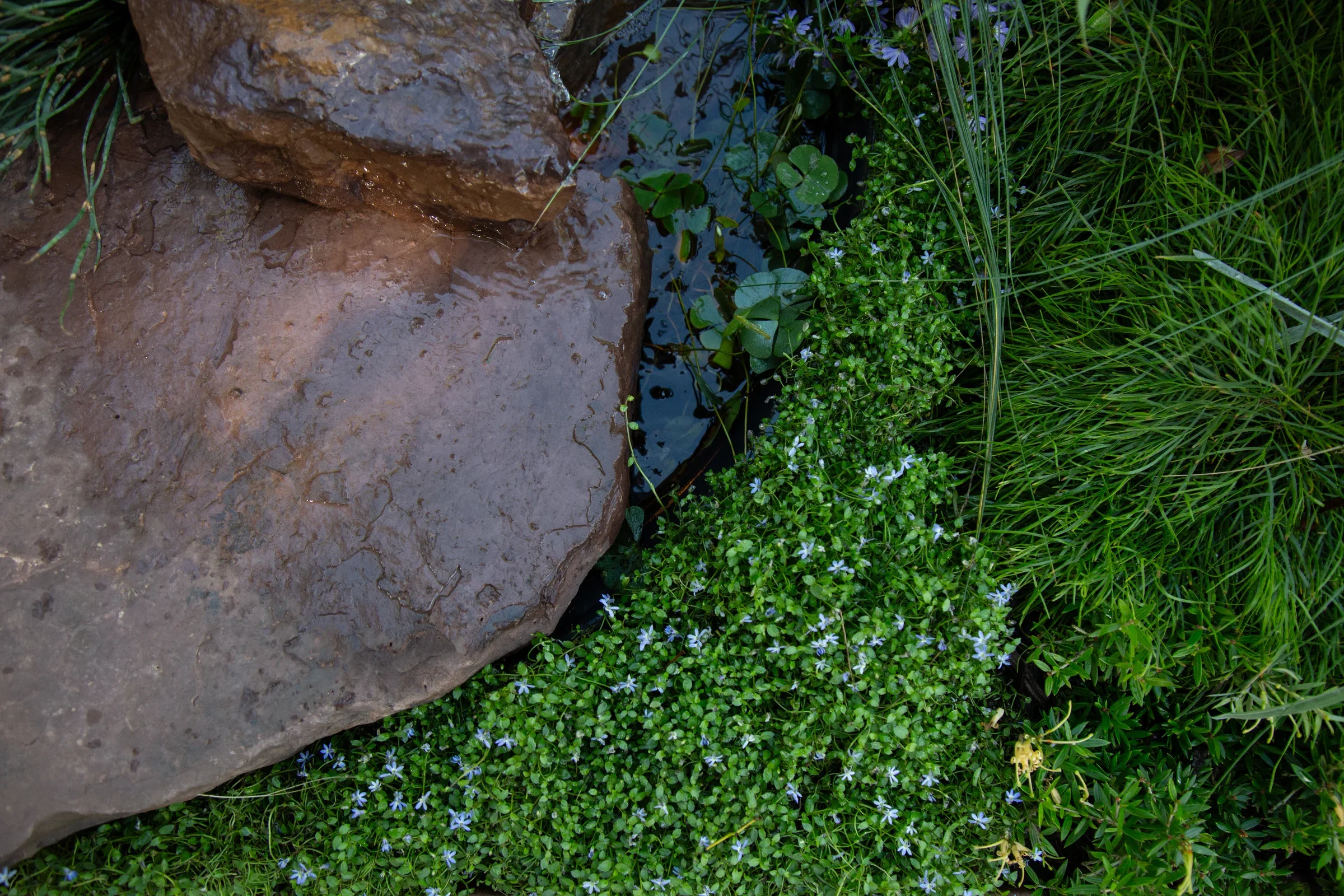 MIFGS_2026_Boutique Garden-69.webp