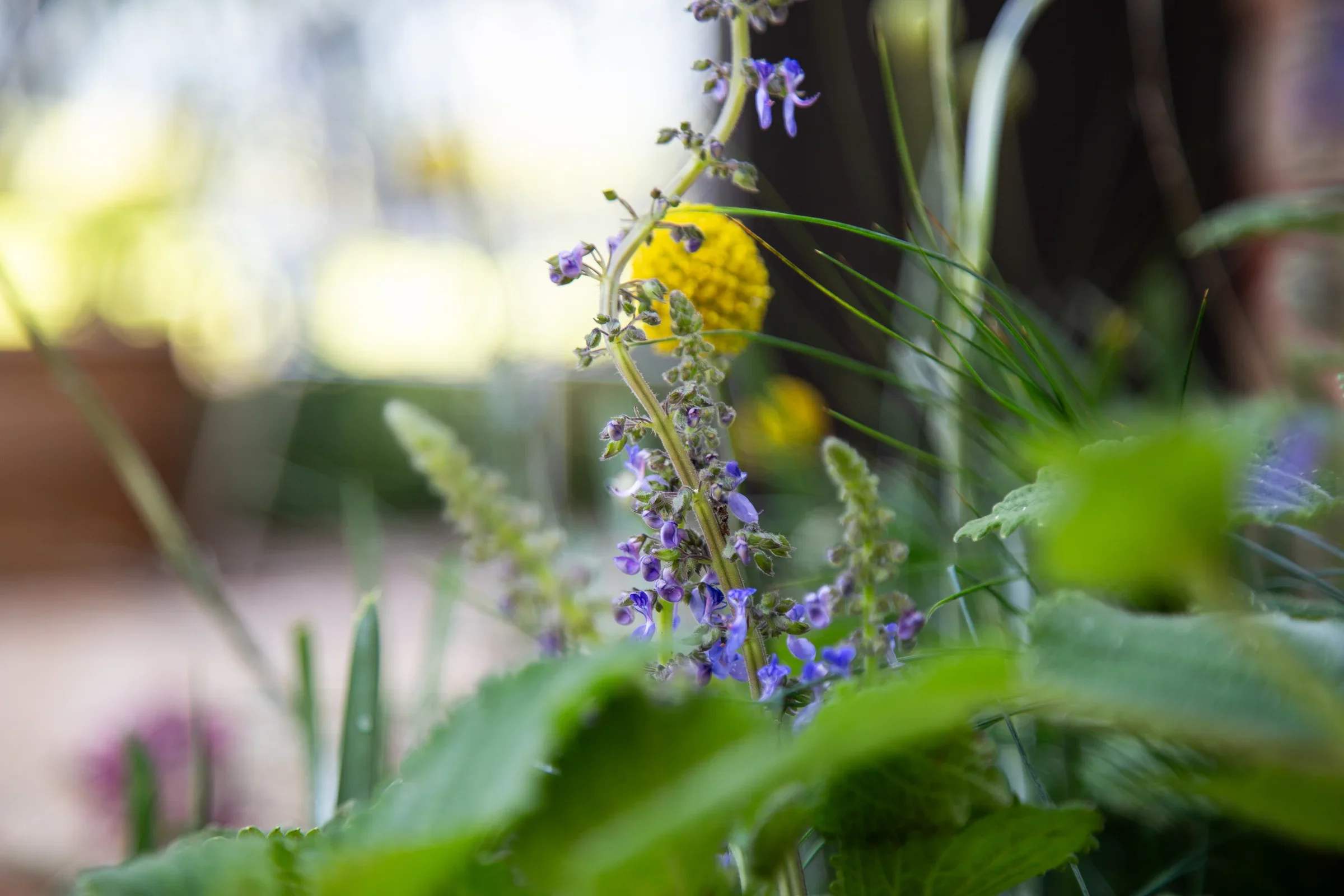 MIFGS_2026_Boutique Garden-43.webp